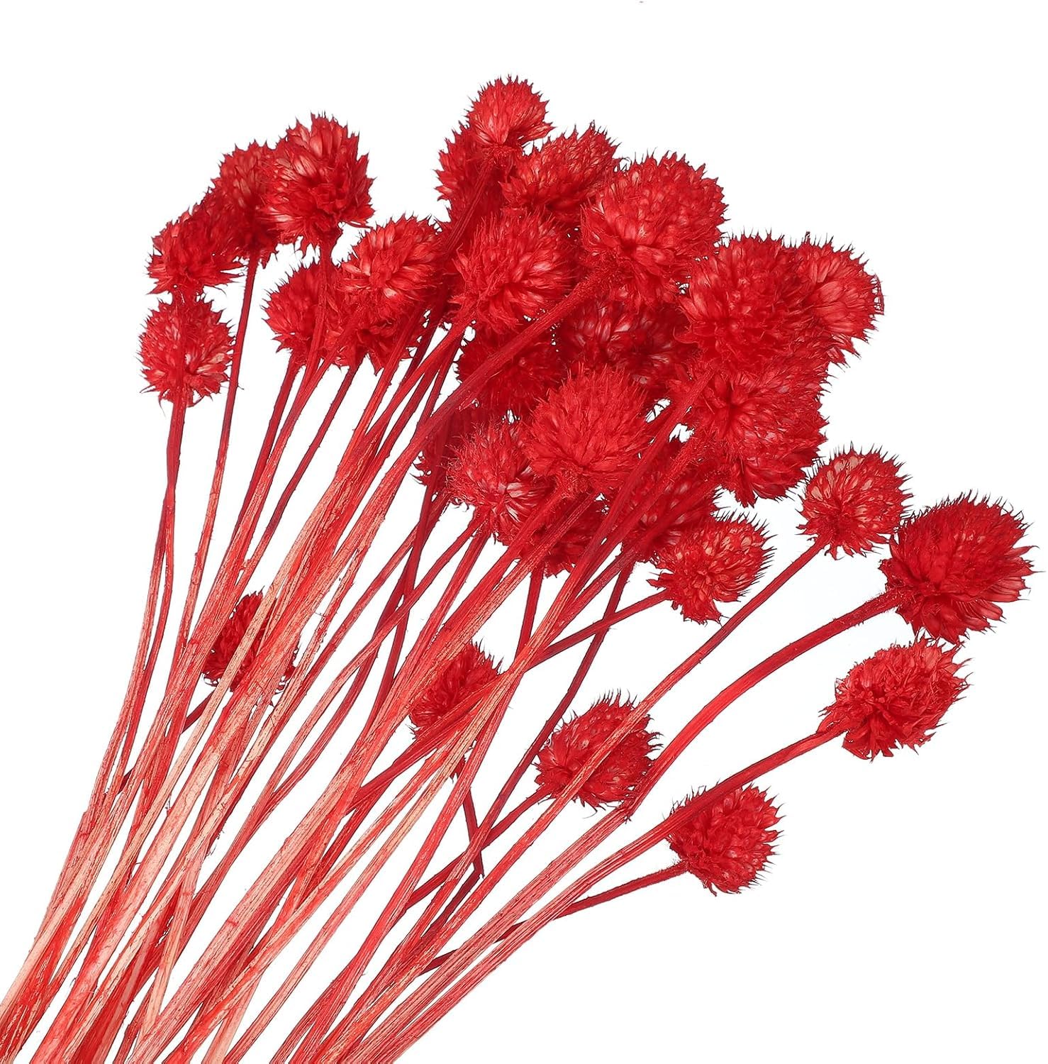 Mini flores secas de pino, rojo, 30 piezas, 40 cm, ramo natural para decoración del hogar