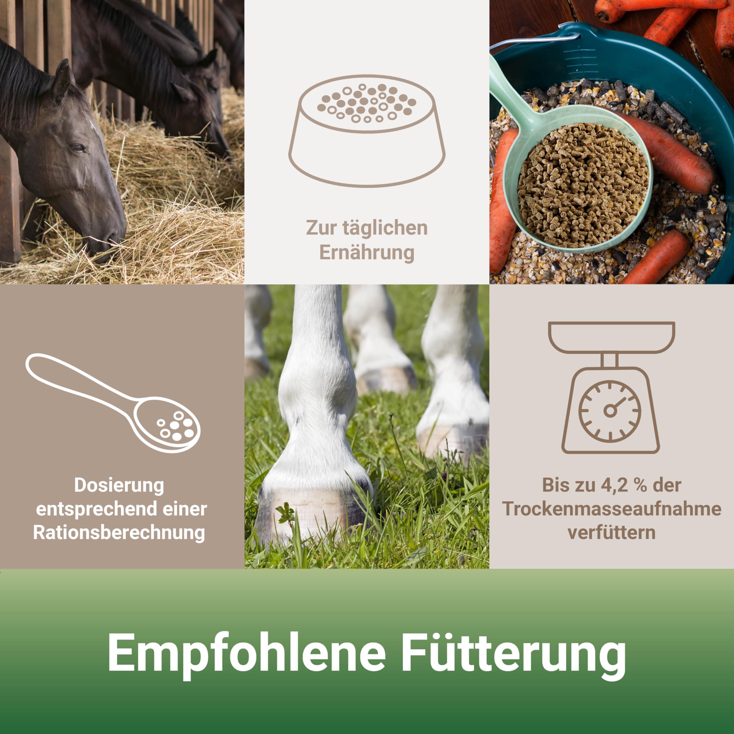 PANTO Pferdemineral mit Wisan-Lein 25 kg – Mineralfutter mit Omega-3 | Schmackhaftes Mineralfutter, reich an Mineralien, Vitaminen, Spurenelementen & Omega-3 – für vitale Pferde