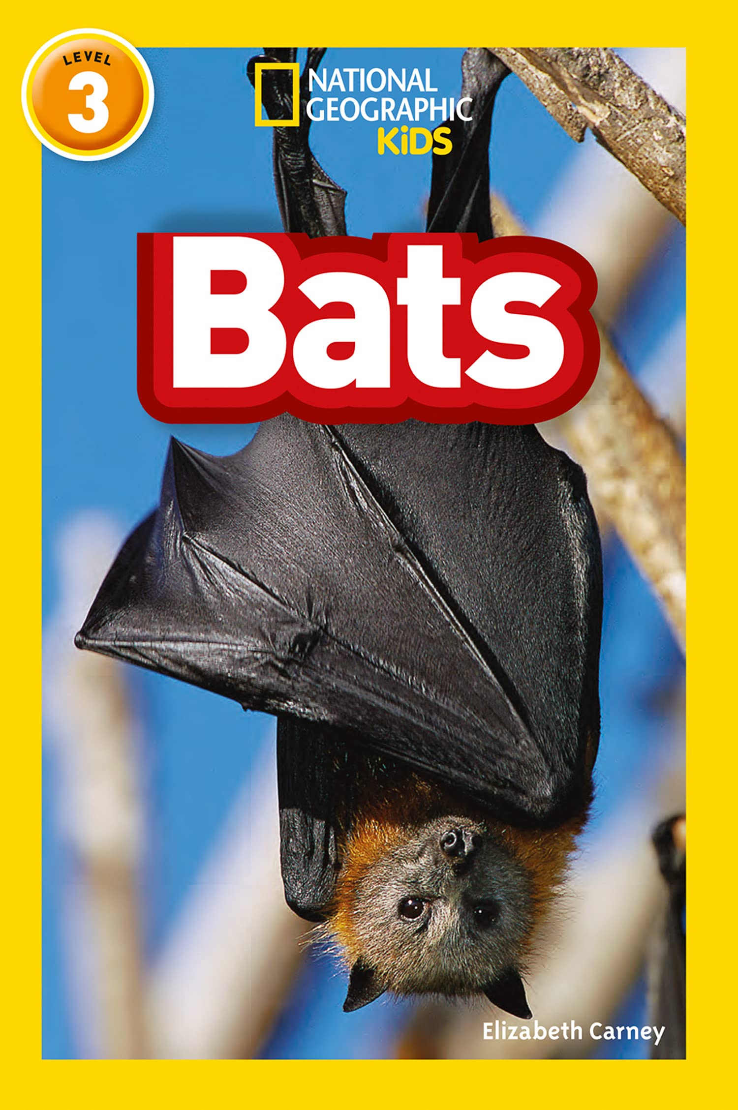 HarperCollins Bats: Level 3