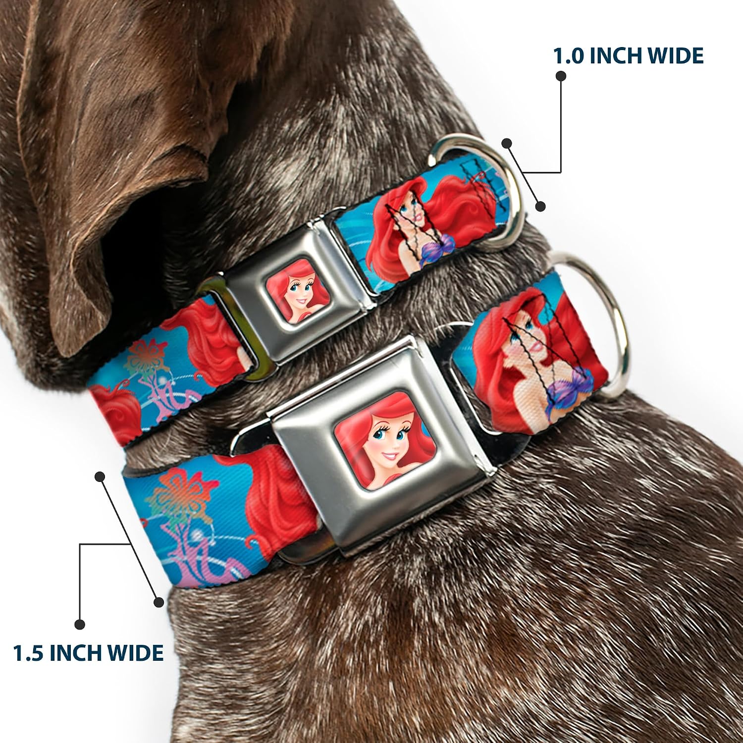 Buckle-Down Seatbelt Buckle Dog Collar - Ariel & Flounder Vivid Underwater Poses - 1.5" Wide - Fits 18-32" Neck - Large