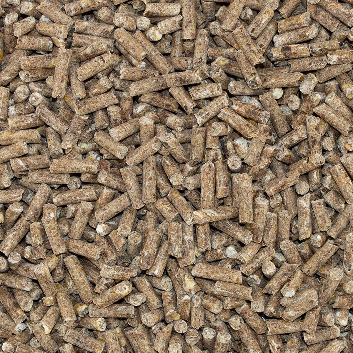 Speed N° 1 Origin, Concentrado de alimento Mineral, 1,5 kg de Suministro básico de minerales Esenciales, oligoelementos y vitaminas para Caballos
