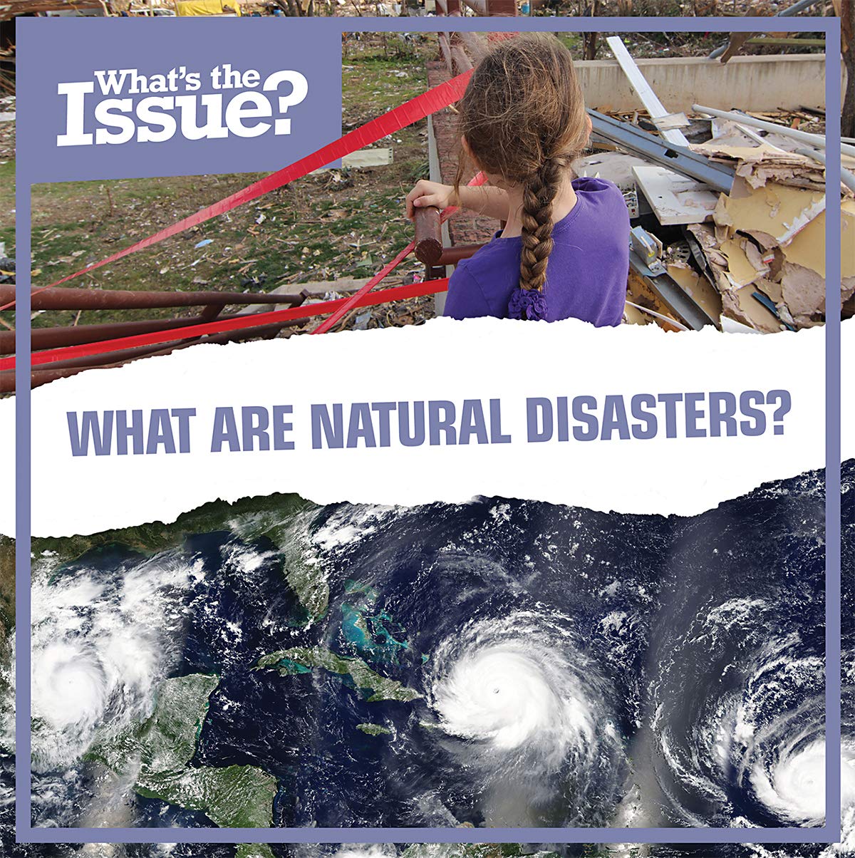 What Are Natural Disasters? (What's the Issue?)      Library Binding – Illustrated, July 15, 2019