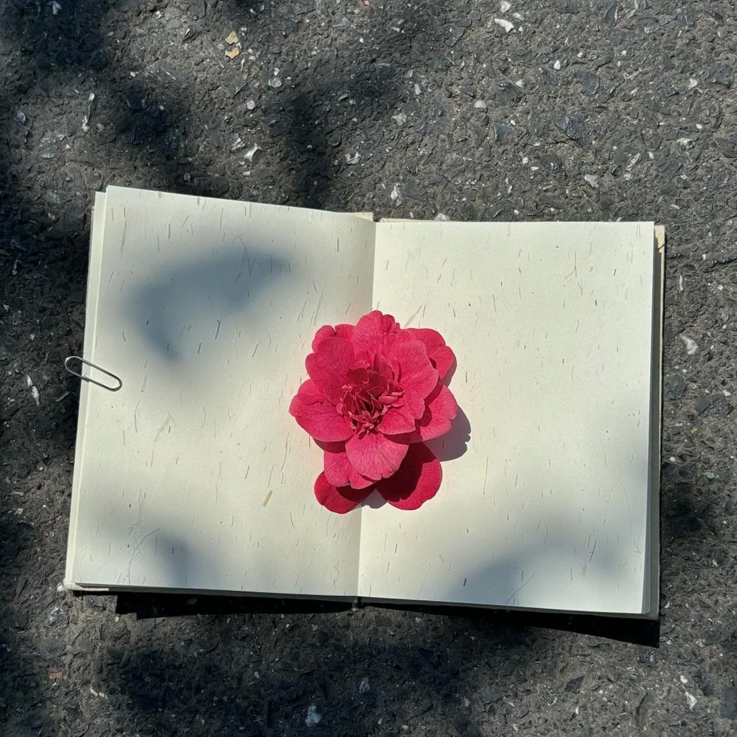 Handmade Lokata Paper Journal with Real Pressed Flowers, 6.1"x4.5" Embossed Botanical Notebook for Oil Pastel & Crayon Drawing, Unique Hand-Pressed Plant Cover Sketchbook, 48 Pages, Nature Art Gift