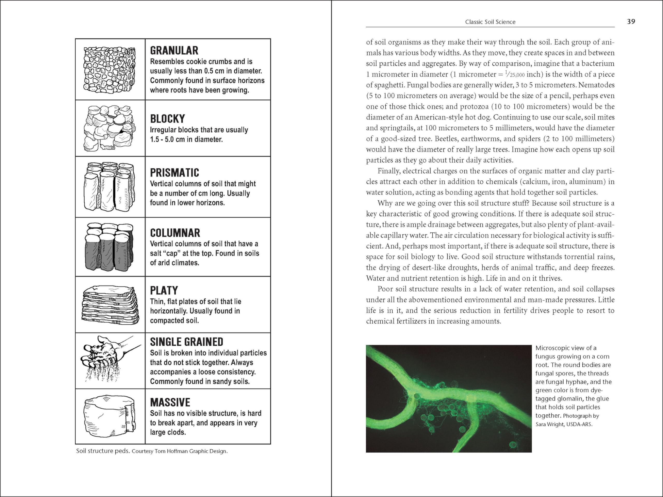 Teaming with Microbes: The Organic Gardener's Guide to the Soil Food Web
