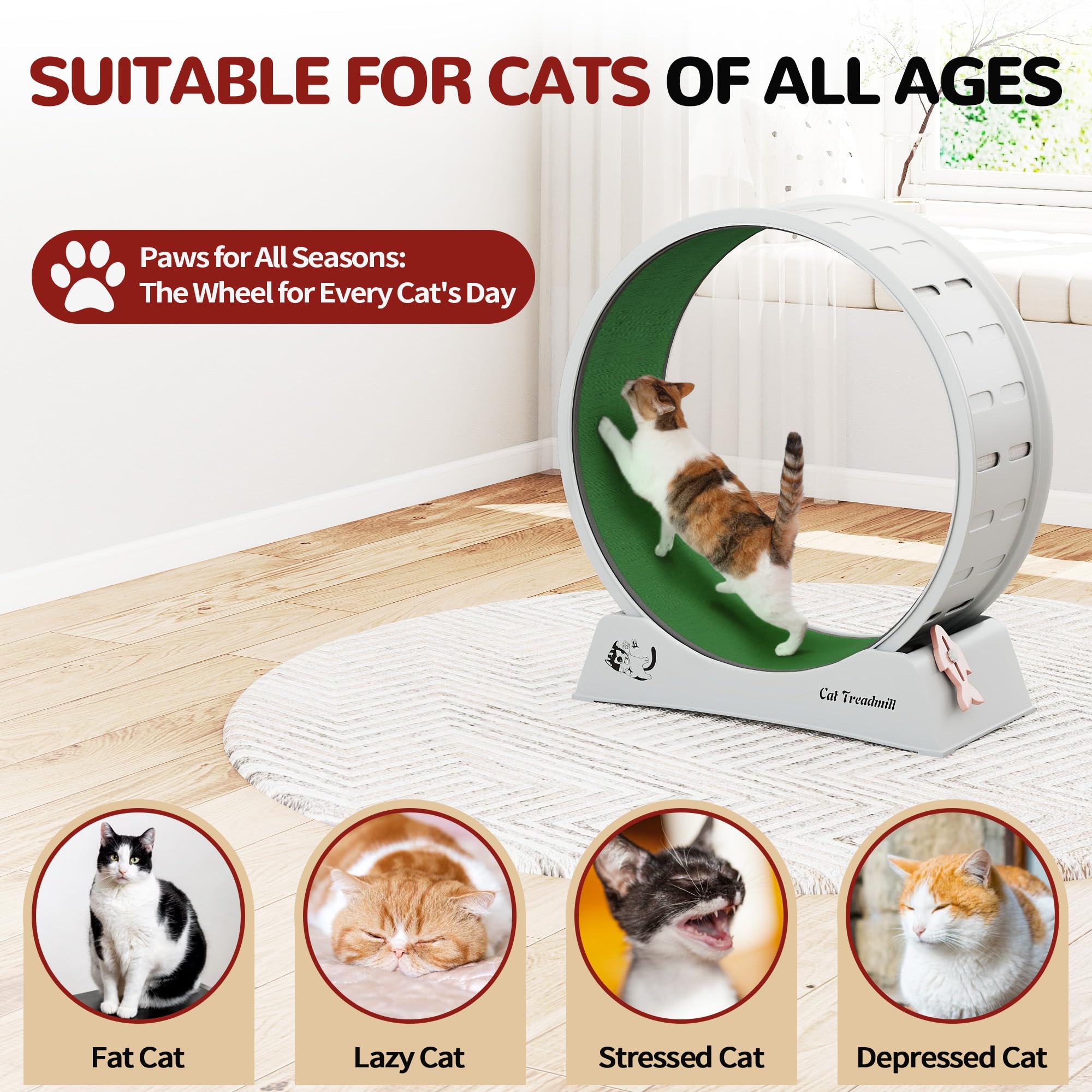 XXL Katzen-Trainingsrad 80 cm für Große Katzen, Flüsterleise Laufrolle mit Abnehmbarem, Kratzfestem Teppich, Stabiler Standfuß & Sicherheitsarretierung, Inkl. Kostenlosem Spielzeug, für Wohnungskatzen