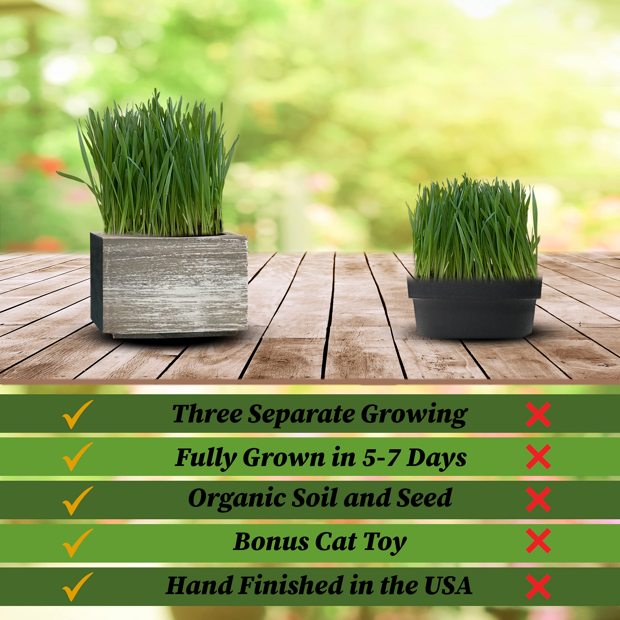 Organic Cat Grass Seeds Kit Organic Seed & Soil for 3 Growing's 4 x