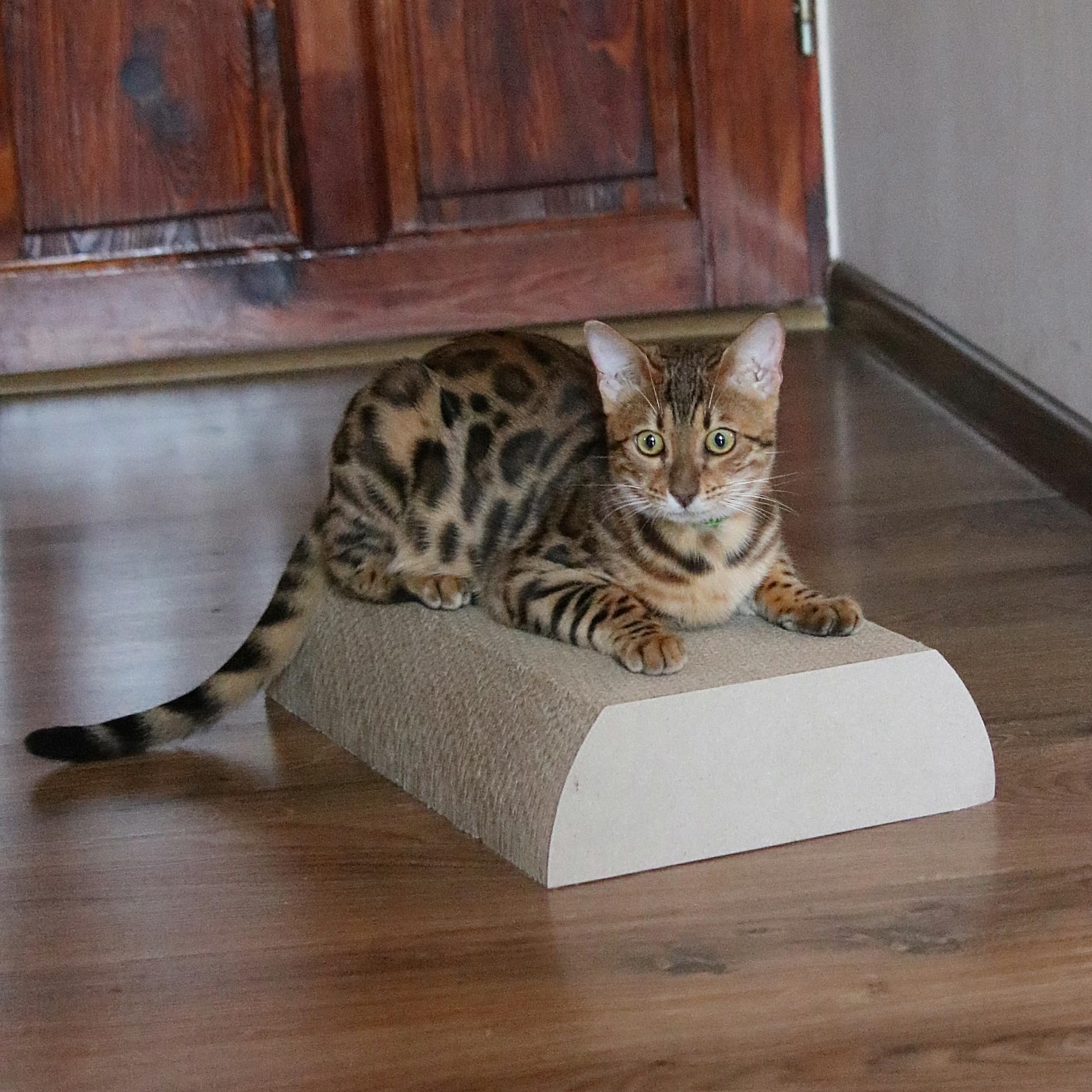Arbre à chat en bois naturel et durable - House of Cats Flat