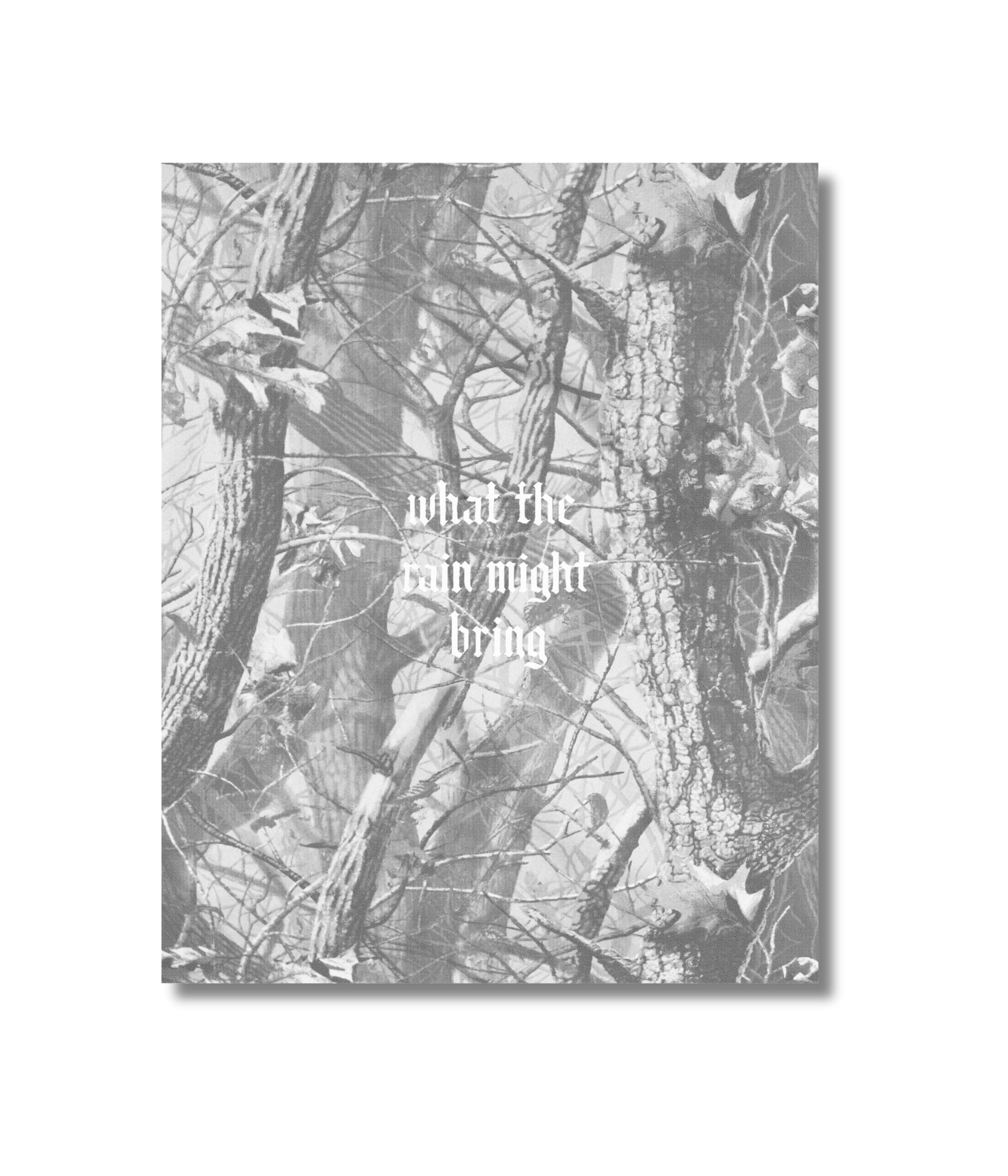 What the Rain Might Bring by Dylan Hausthor - 9781942953661