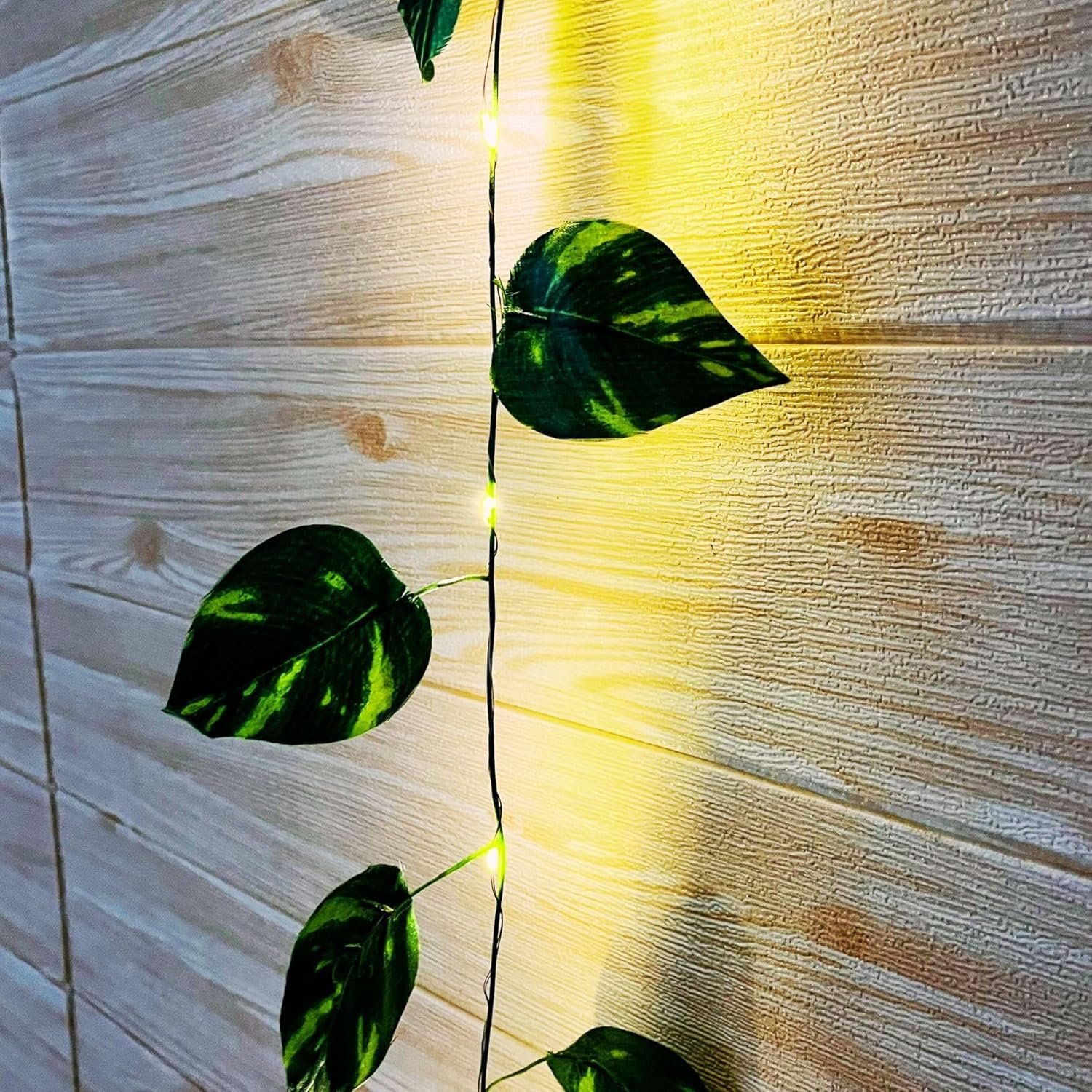 FLOROOM Decorative Money Plant Strings – Ideal for Home, Wall & Haldi, Pooja Decoration Setup 1
