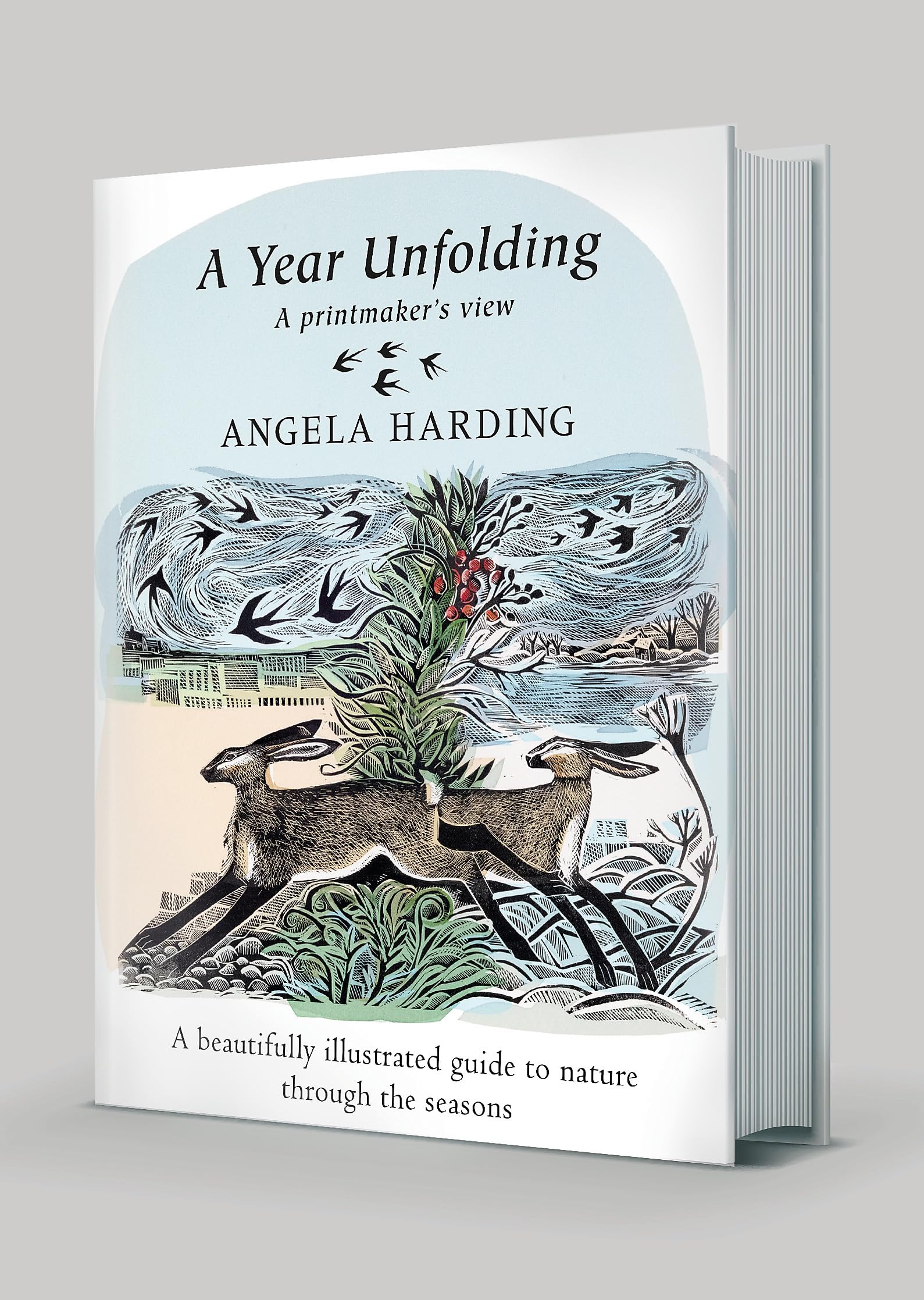 A Year Unfolding: A Printmaker's View