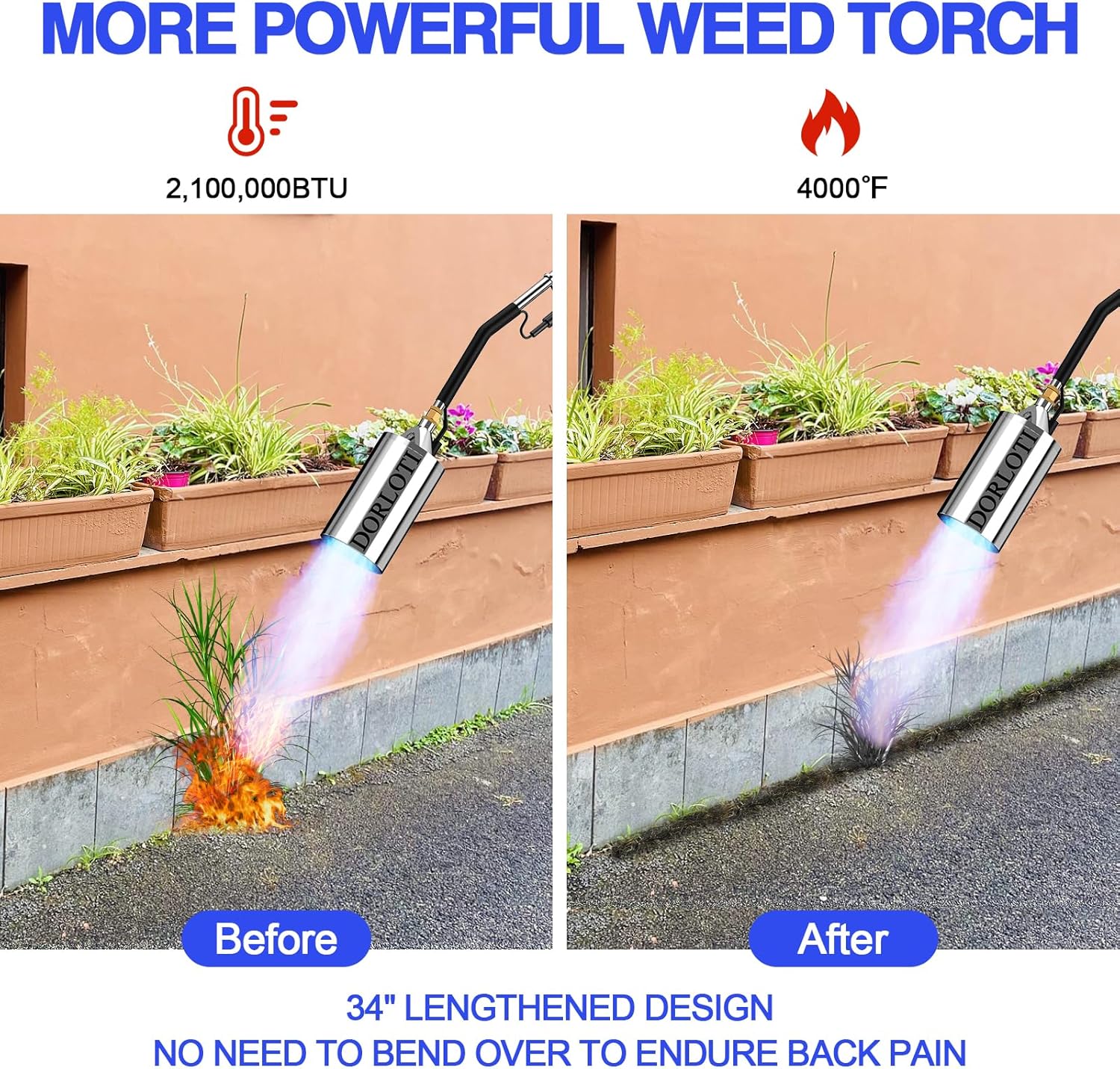https://m.media-amazon.com/images/I/81kPIy-AoUL._AC_SL1500_.jpg