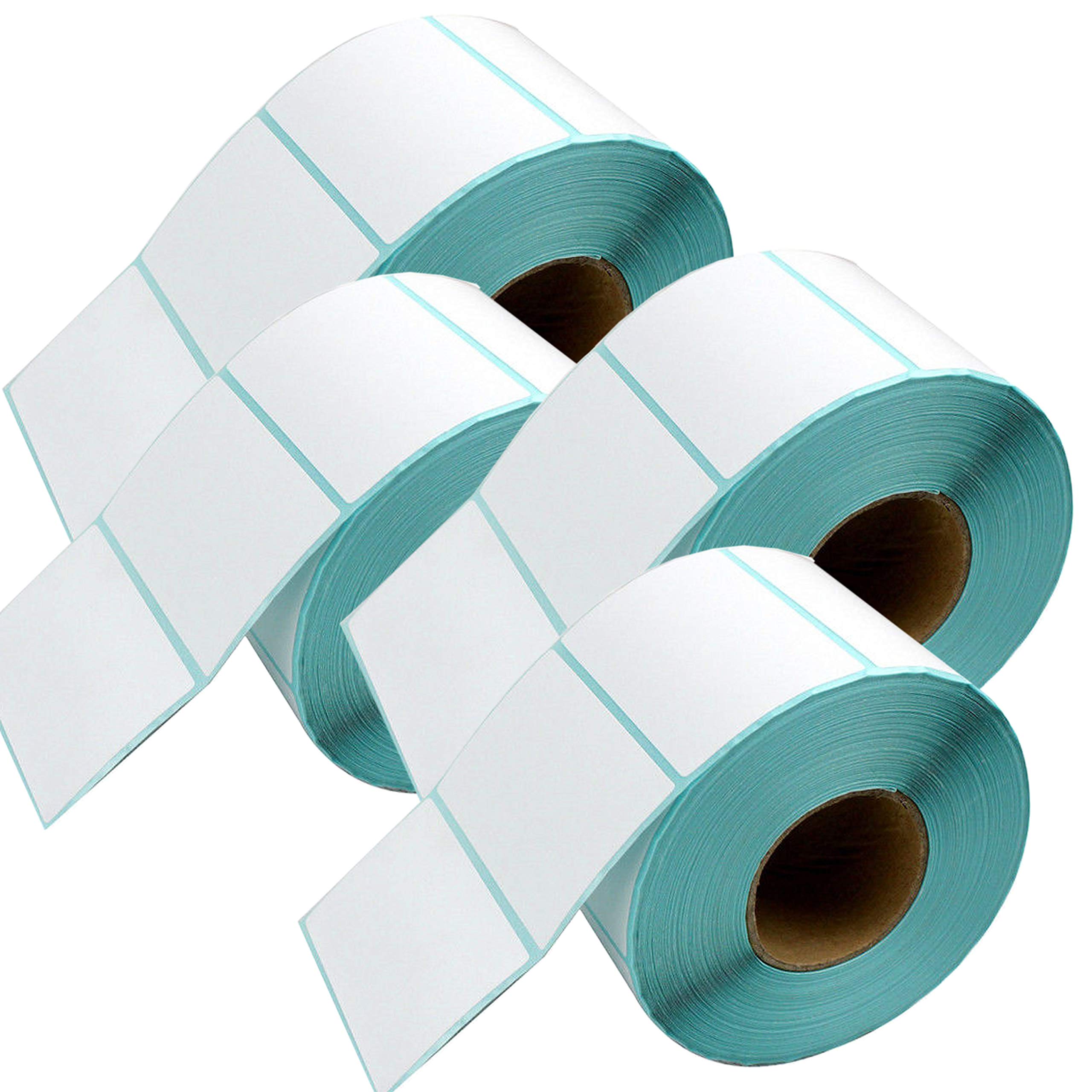 DynaSun 5200 Etichette Termiche Adesive 100x50mm Rotolo Anima 25mm per Stampanti Zebra Citizen TSC