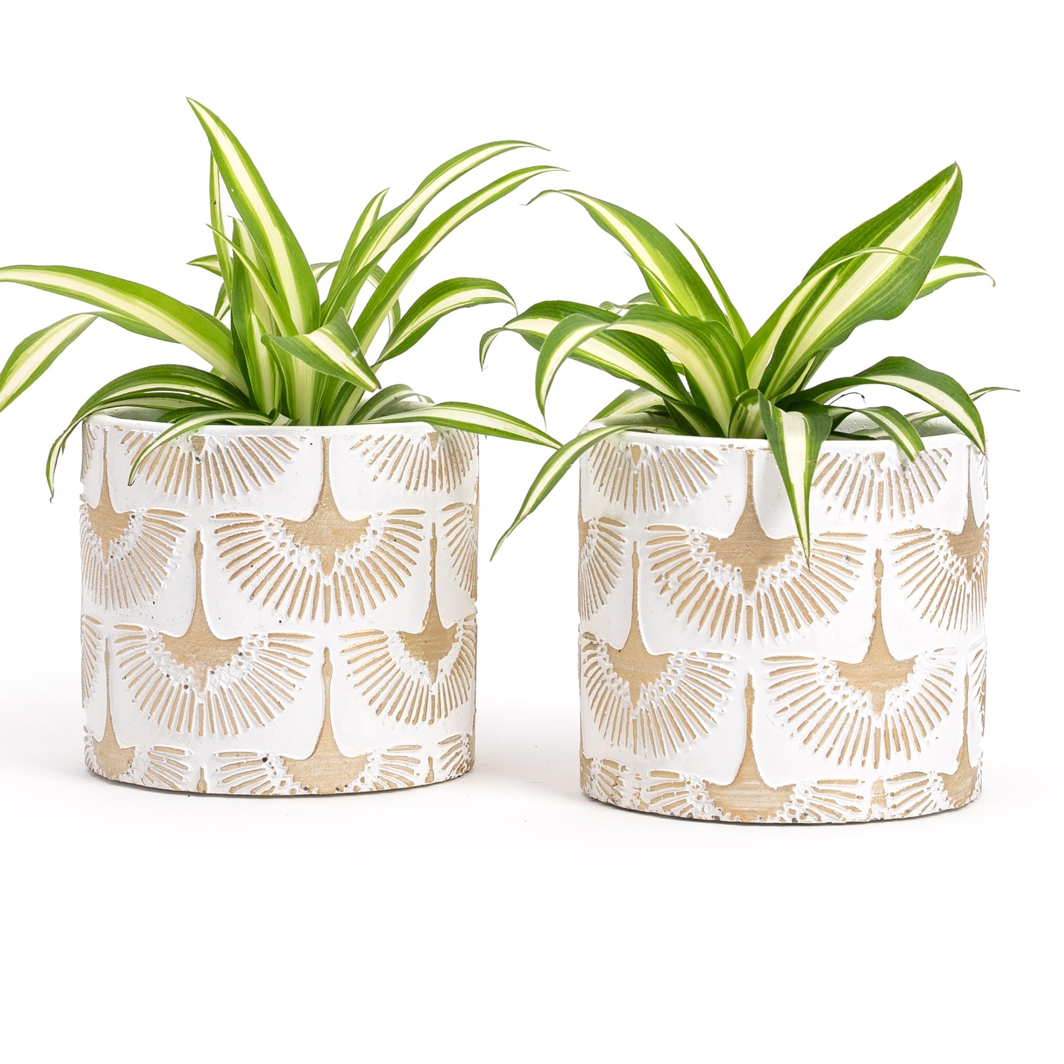 Vimin Box Pair of Terracotta Vases Hand Decorated White and Gold for Plants and Flowers, Home Decoration, Diameter 11 cm - 11 cm (White/Gold, 2 x S)
