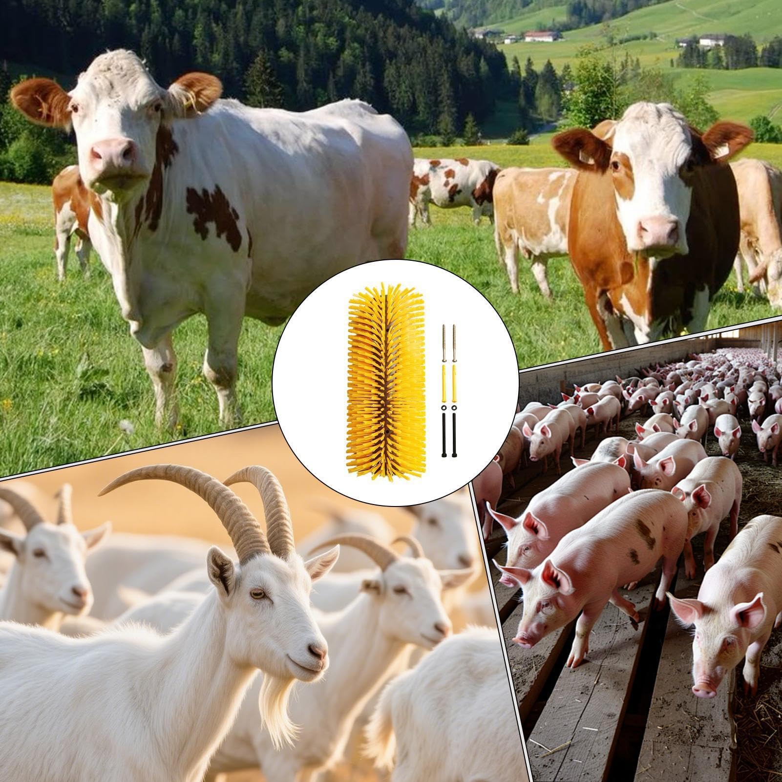 Spazzola di capra, massaggiatore per la pulizia del prurito, per la pulizia del bestiame, cavallo, pecore, per fattoria all'aperto, stalla, stallo, stallo, pascolo, fattoria, stalla