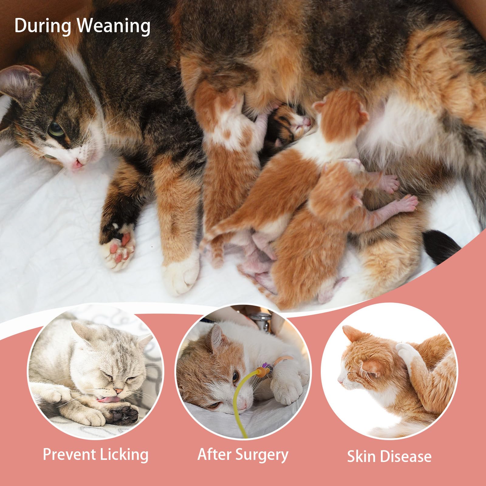 DENTRUN Cat Recovery Suit Sleeveless Cat Post Surgery Suit with Zipper Male Female Abdominal Wounds (Pink, S) - Image 4