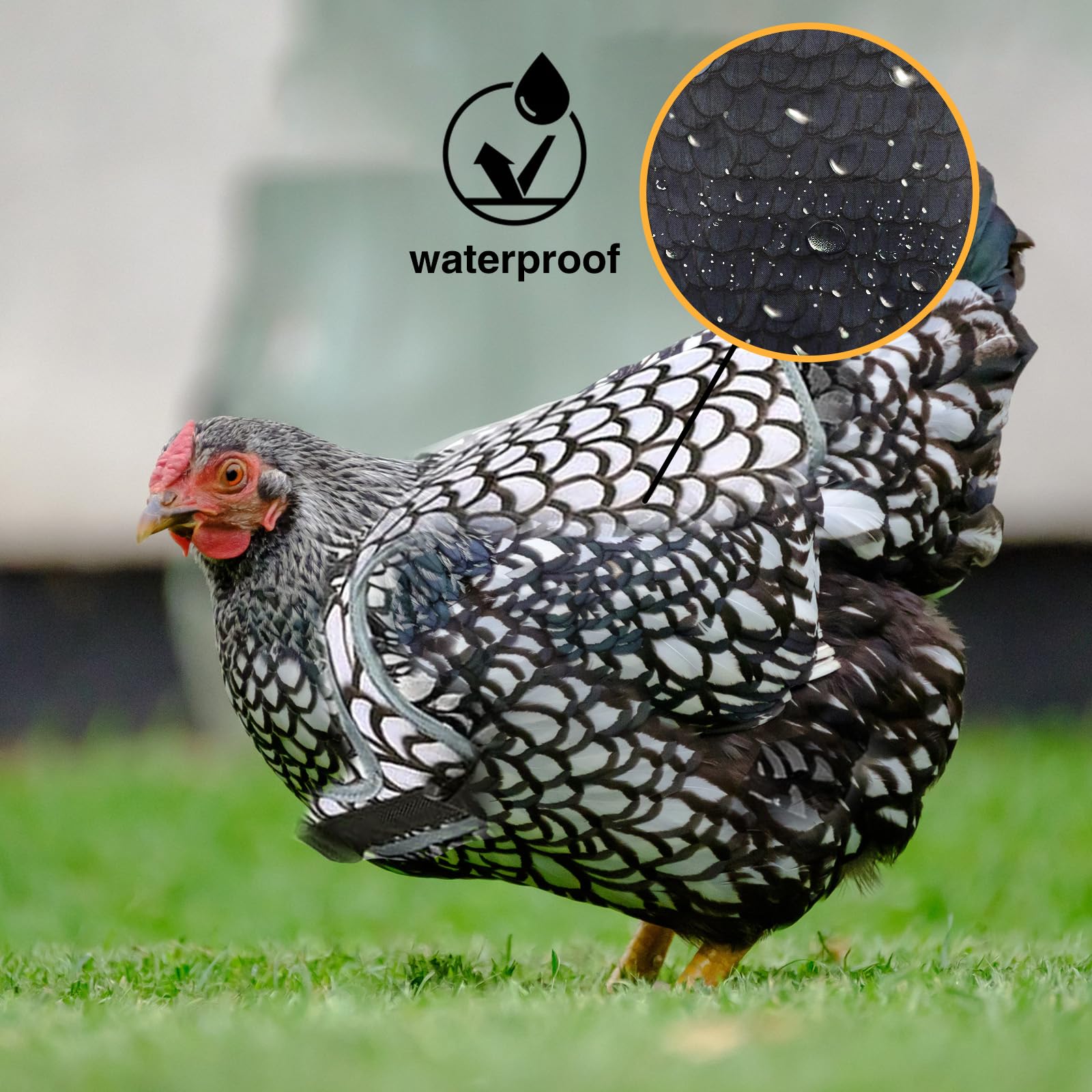 Lot de 2 selles de poulet pour poules, protection du dos de poule, tabliers confortables et légers pour poules (noir et blanc)