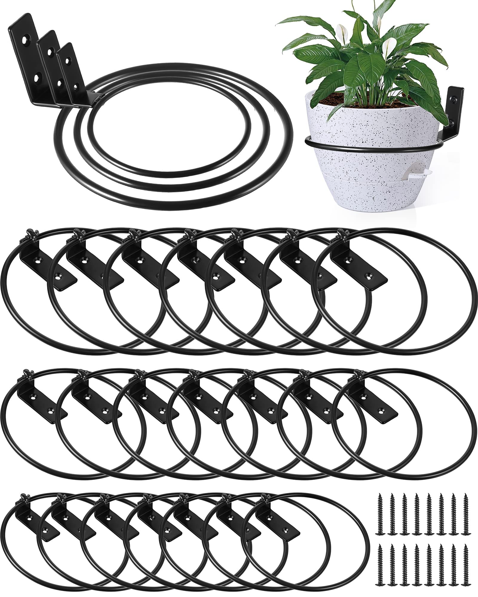 Amazon.com: Geetery 24 Pcs Wall Plant Holder Ring 4/5/ 6 Inch Flower ...