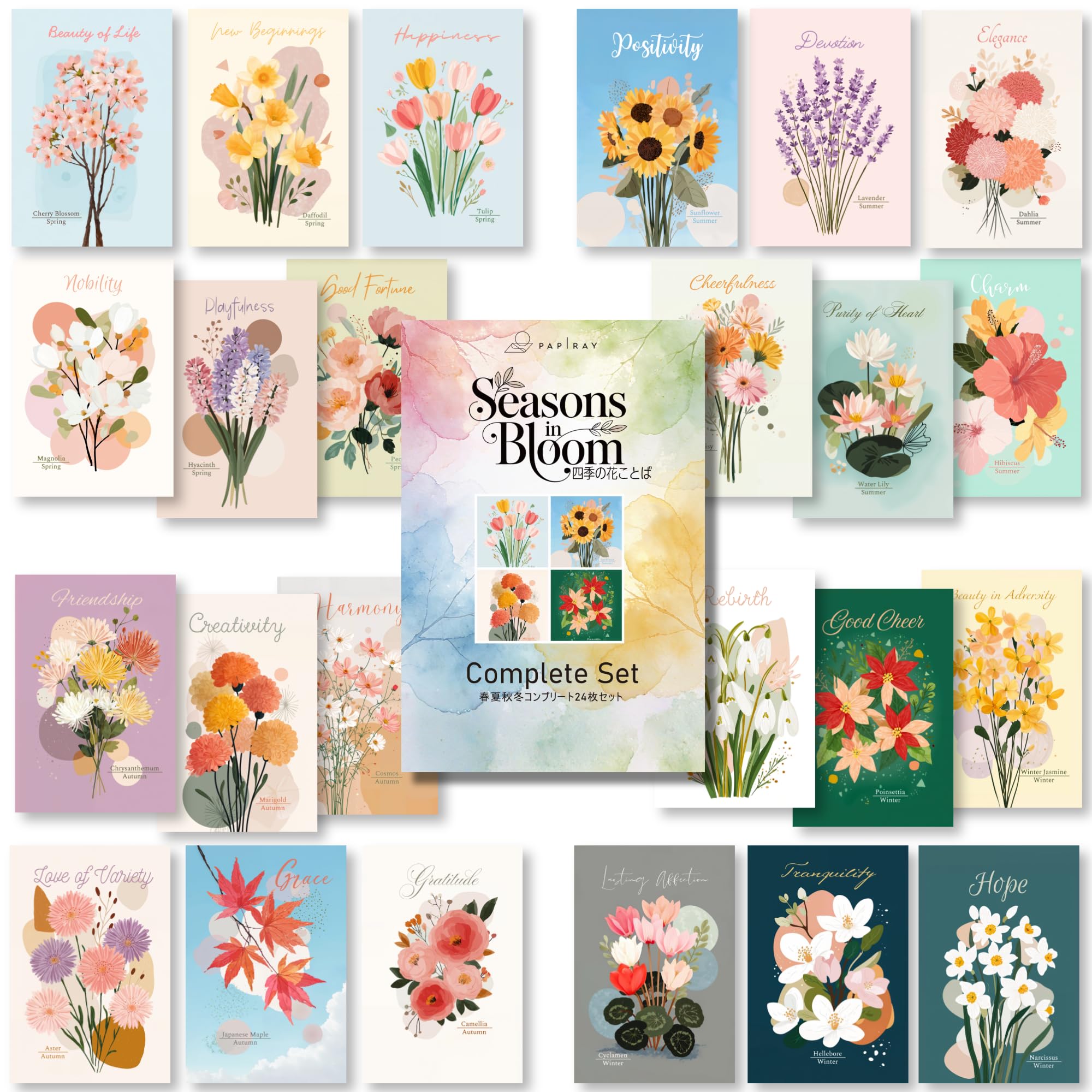 Four Seasons Flower Postcards, Set of 24