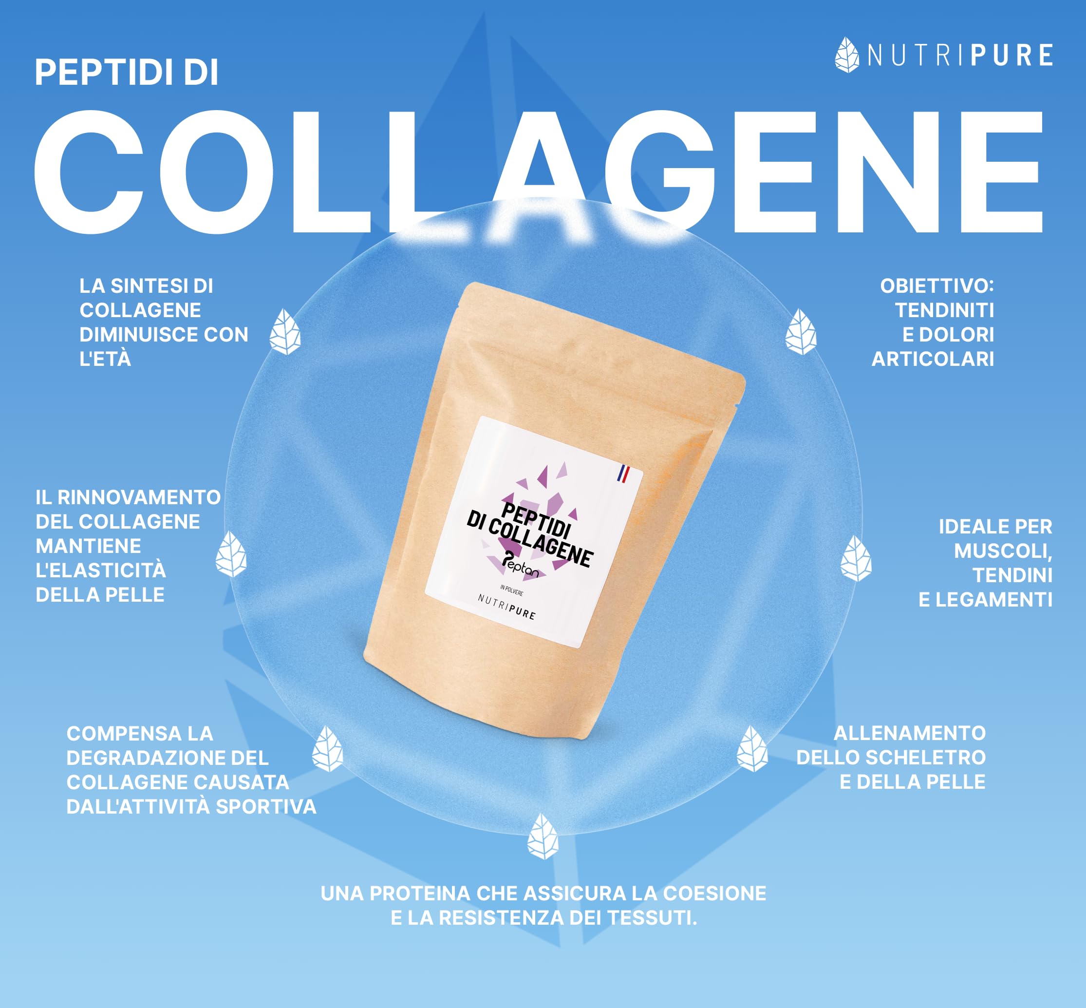 Peptidi del collagene Peptan | Aminoacidi, Tipo 1 e Tipo 3| Protegge ossa e articolazioni | Gusto Neutro | Barattolo da 1,2 kg | 4 mesi | Fatto in Francia