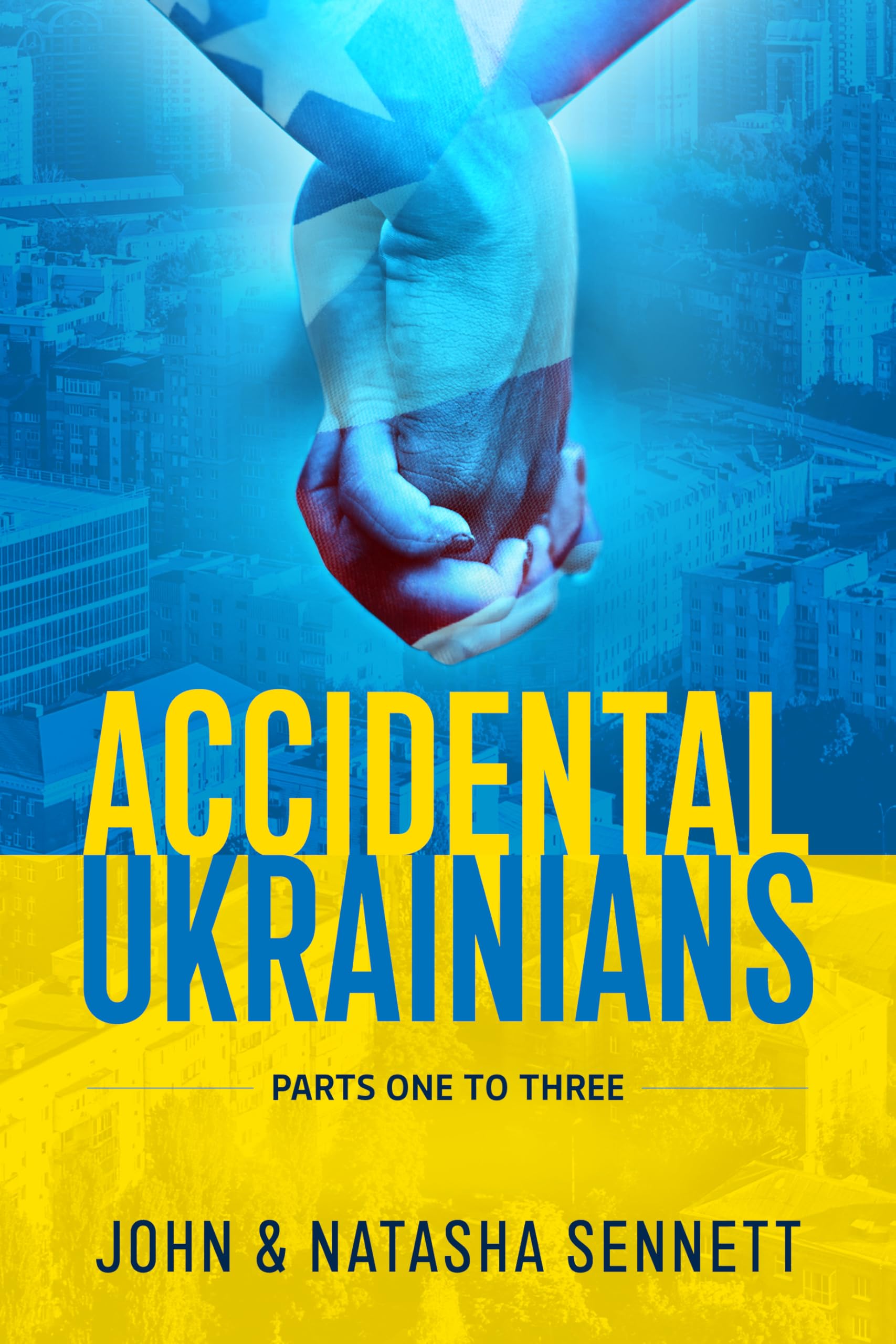 Accidental Ukrainians - 9781806721566