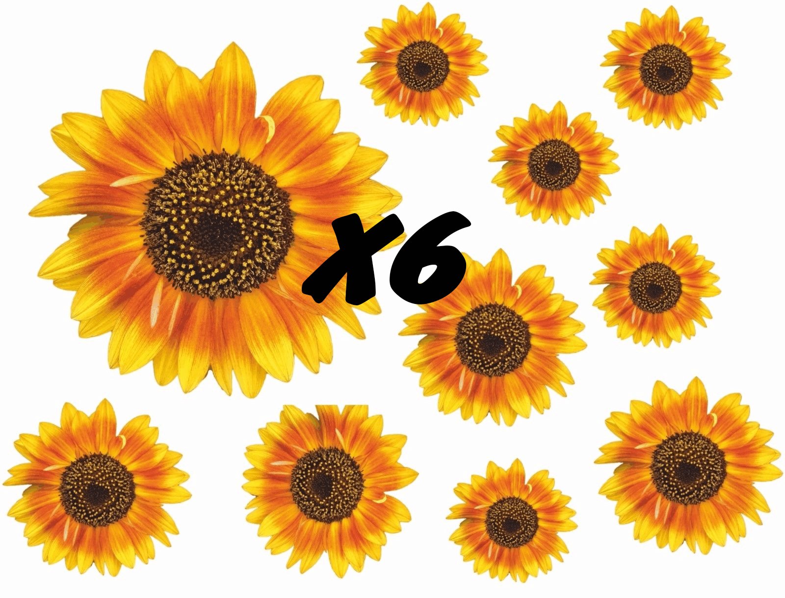 Painted Sunflower Flower Decals Car Stickers Graphics Nursery Wall Window Decorations Art 10 Pack (60)