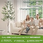 Olive Tree, 6FT Tall Faux Olive Tree with Moss and Planter, Olive Trees Artificial Indoor with Realistic Wood Trunk and Lifelike Fruits, Olive Fake Tree for Home Office Living Room Decor