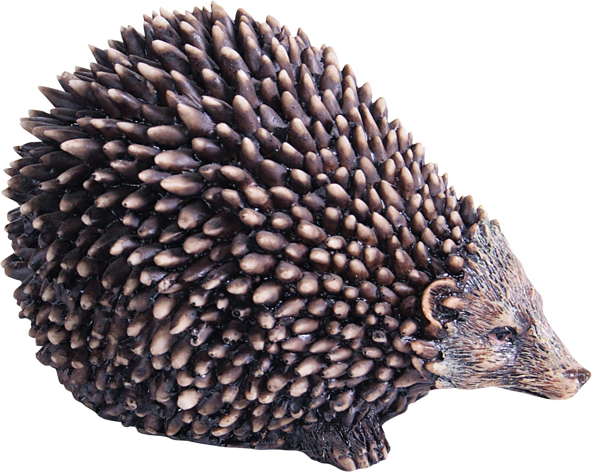 Collectable Animals Baby Hedgehog