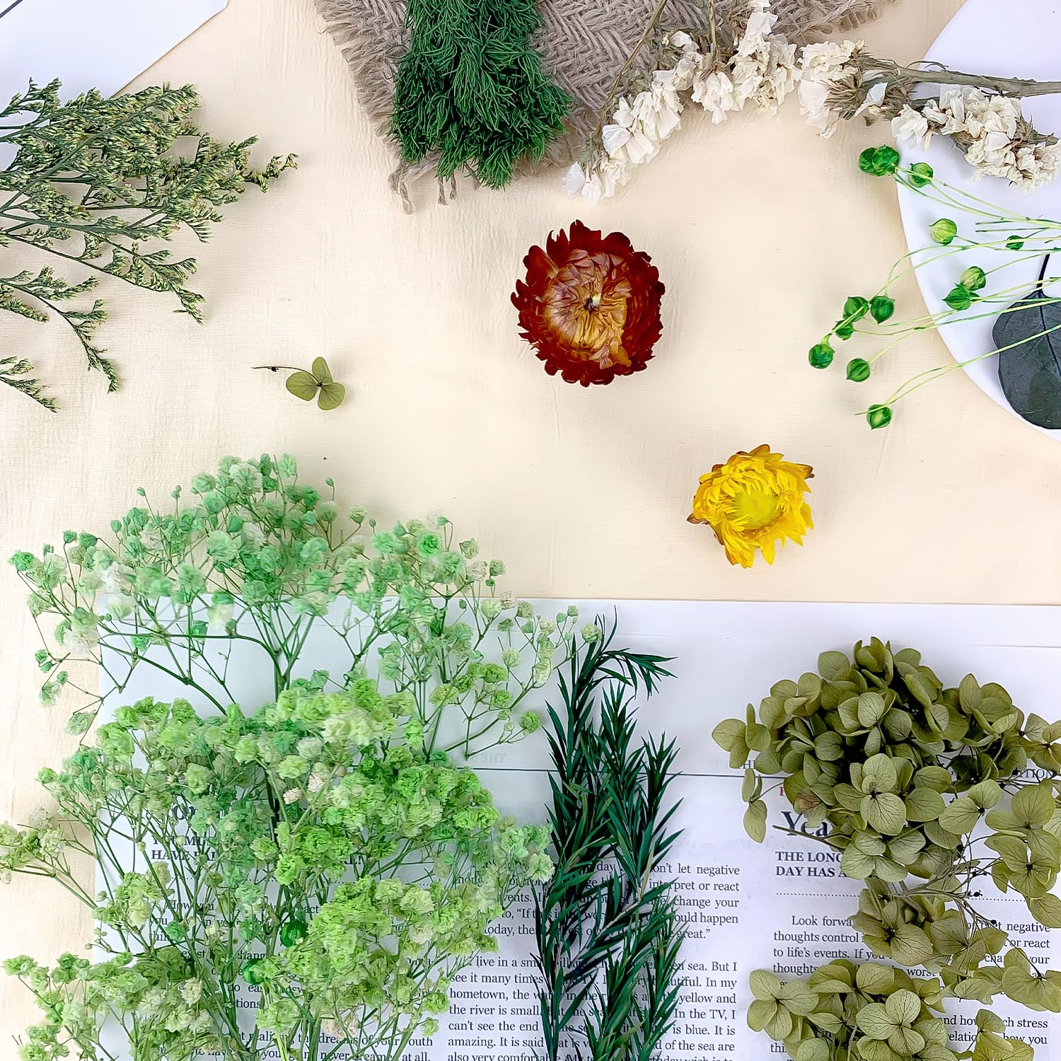 Dried Flowers - Image 4