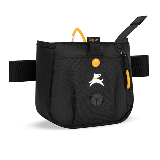OllyDog Backcountry Day Bag