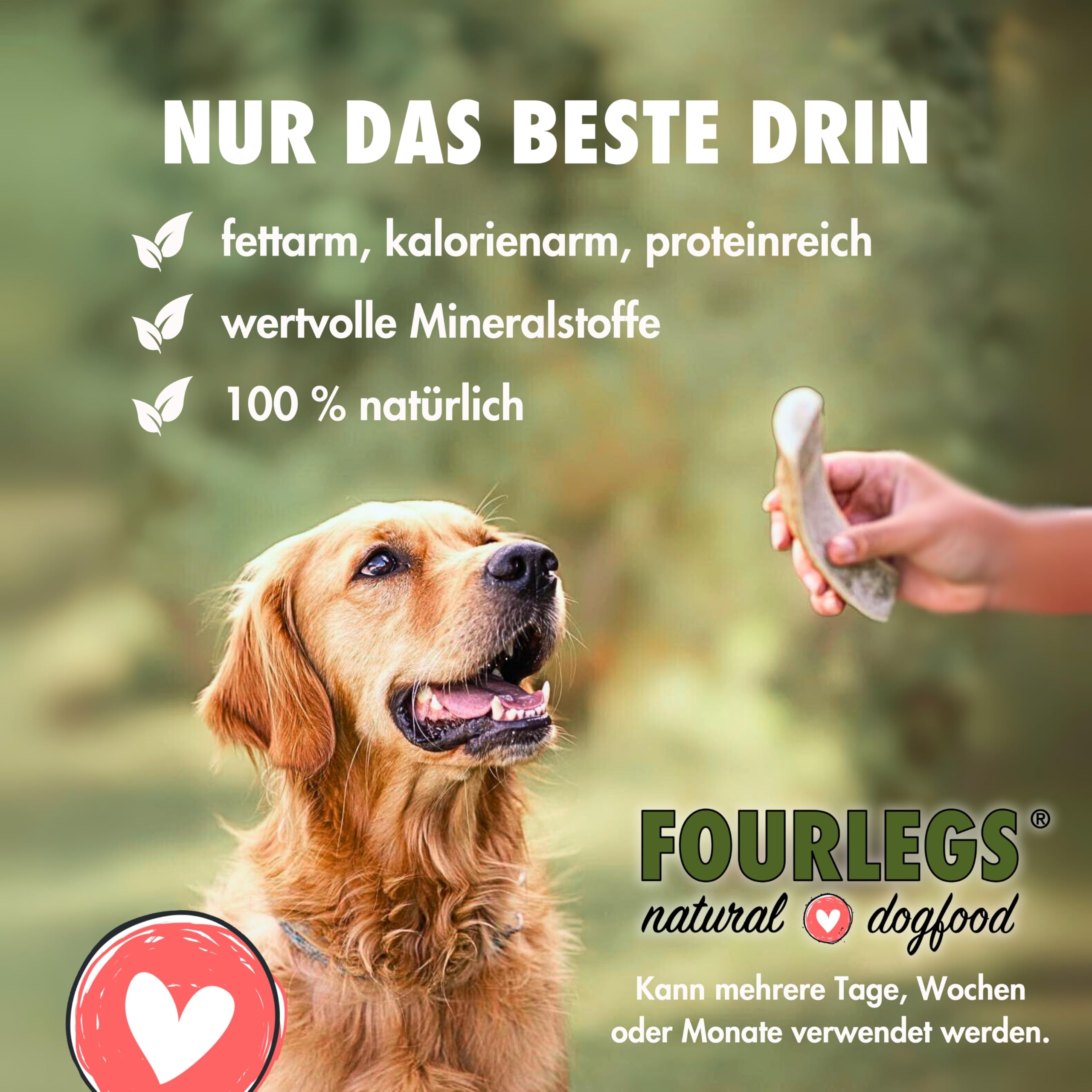 FOURLEGS