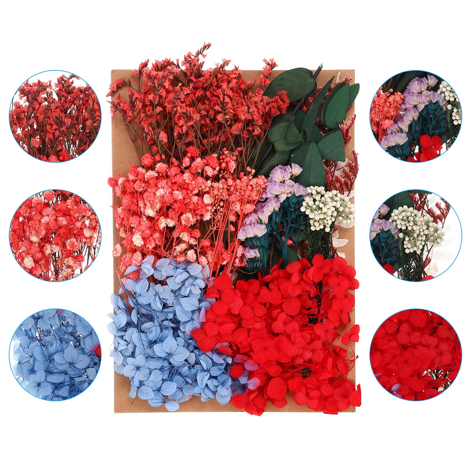 PATIKIL Multicolor Dried Flowers for Craft Bulk Pressed Flowers Leaves for Resin Soap Candle Scrapbooking DIY Gift Papermaking - Image 3