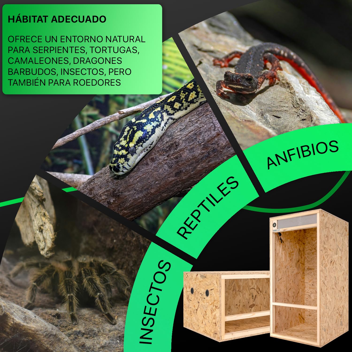 ITA Terrario de Madera 120x60x60 cm con ventilación Lateral e higrómetro Integrado - Terrarios de OSB-3 - para Reptiles, Serpientes, Anfibios - Producto UE, Certificado FSC