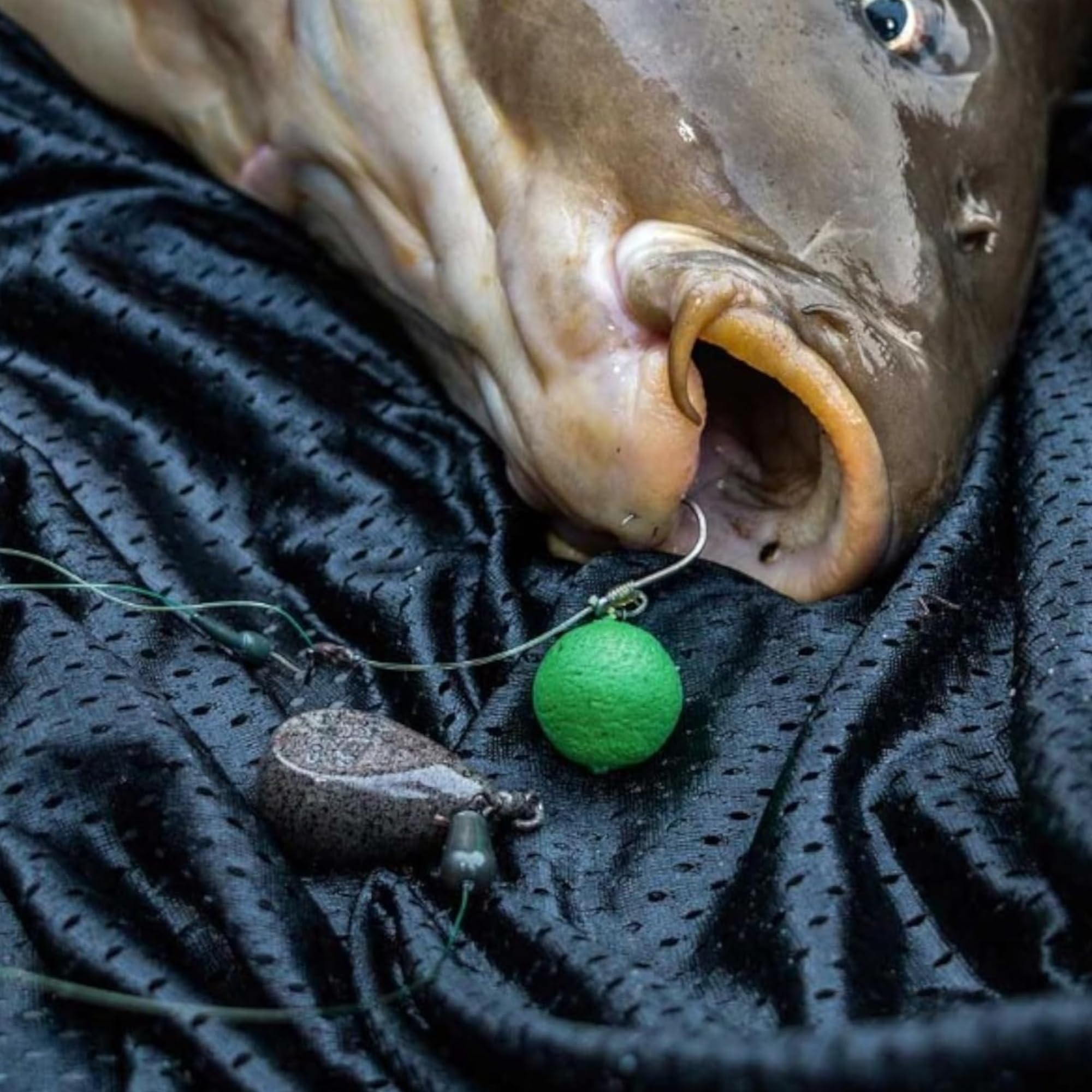 Bait Spikes Set con Anello 10x10mm – Boiles & Pellet Spikes per Ami da Pesca – Punte per Esche Carpfishing - Accessori Pesca Carpa – Esche Pop Up – Accessori Pesca - Attrezzatura da Pesca