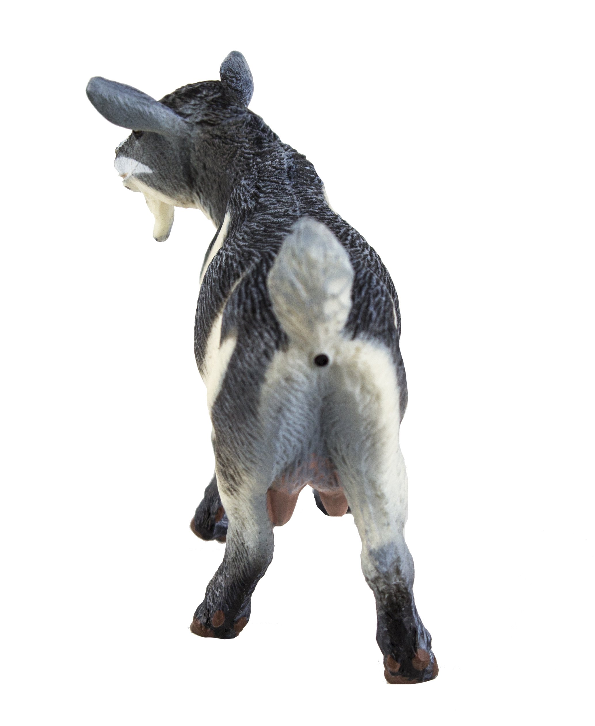 Amazon.com: Safari Ltd Safari Farm Pygmy Nanny Goat : Toys & Games