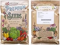 Vista 2 de Semillas de tomillo – Francés – 0.25 oz ~ 4,250 semillas – Thymus vulgaris spp – Semilla de jardinería de hierbas culinarias – sin OMG, reliquia