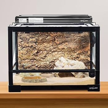 Amazon.com : REPTI ZOO UVB Reptile Light, New Version T5 HO