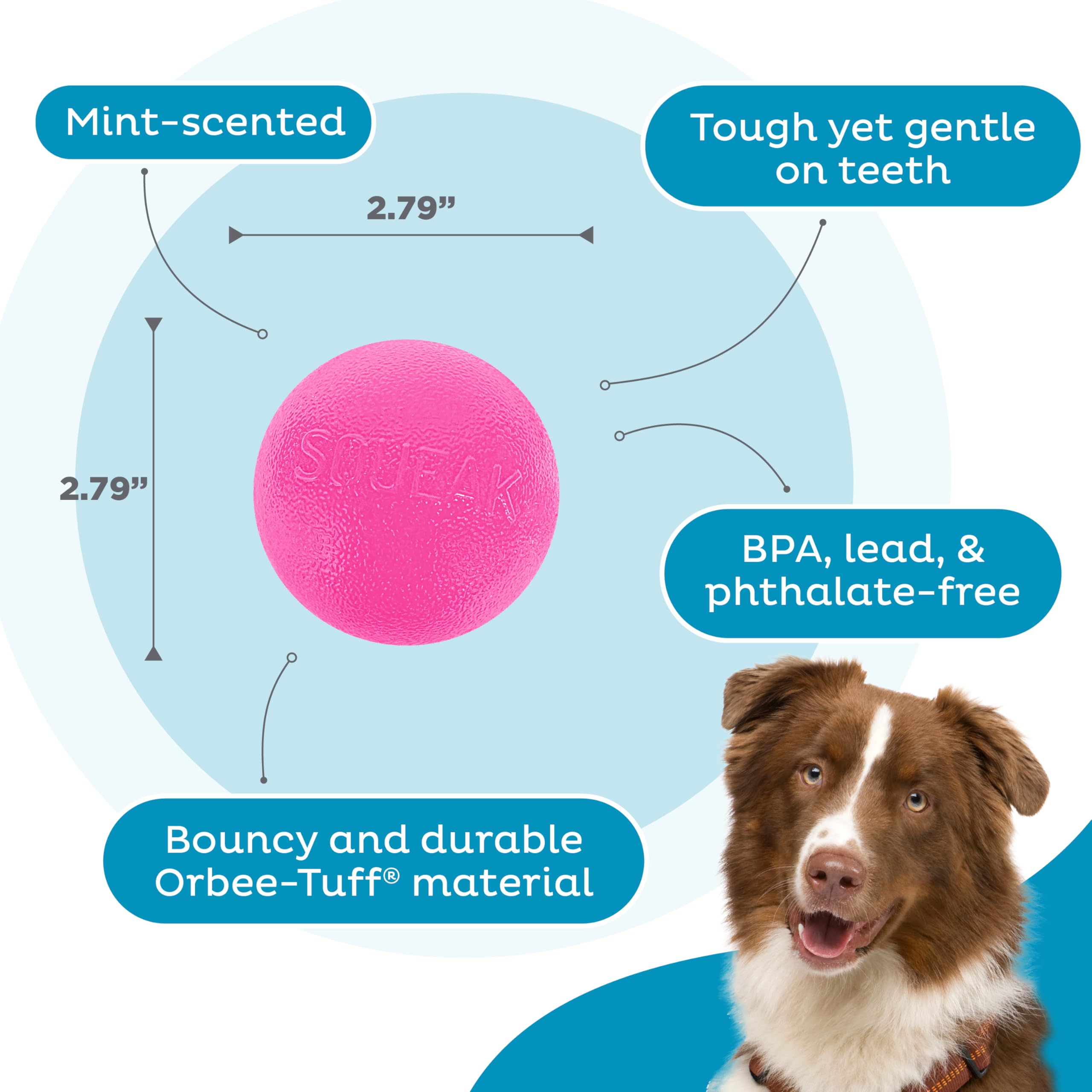 Amazon.com: Outward Hound by Planet Dog Squeak Ball Bouncy Fetch Dog Toy,  Pink : Pet Supplies