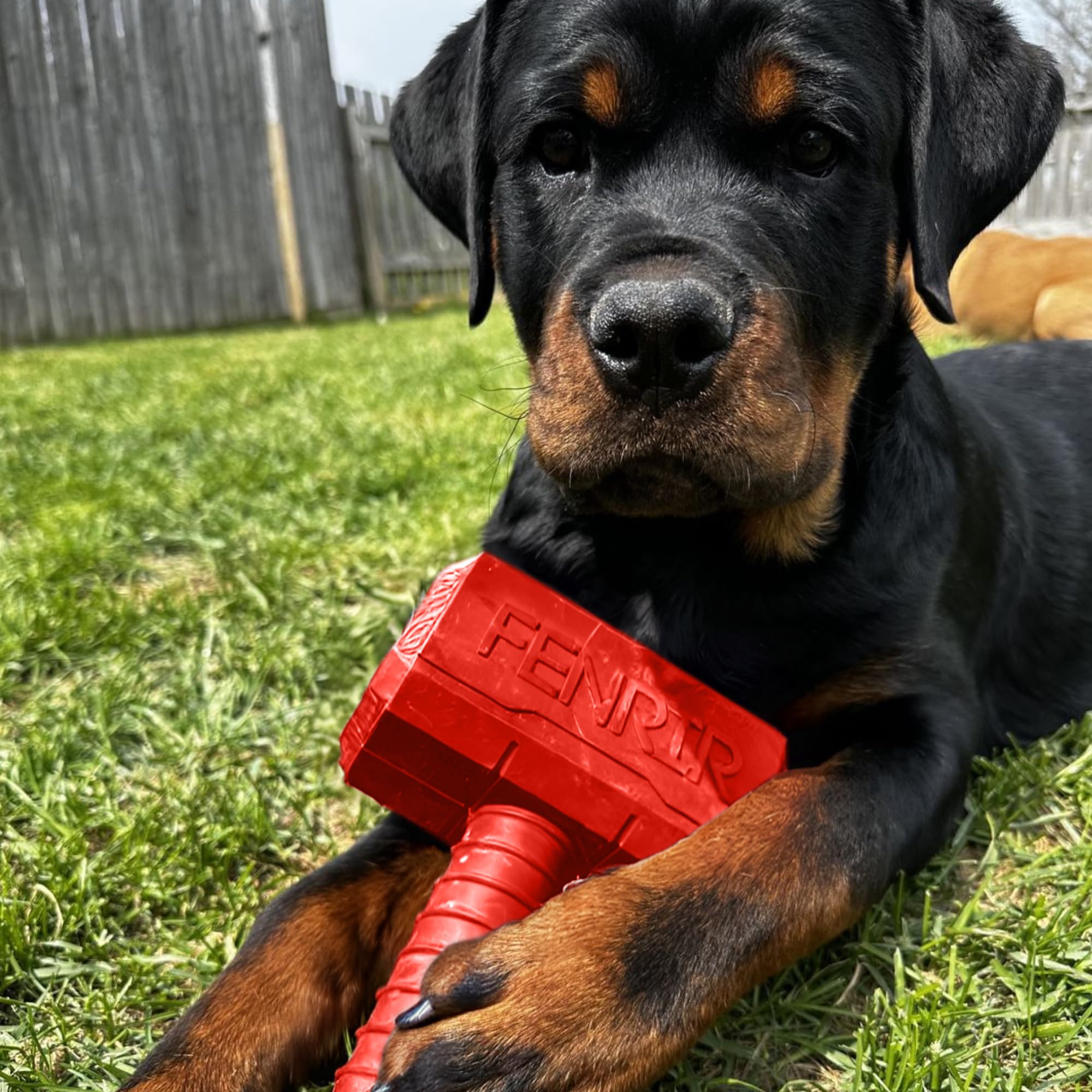 Fenrir Hammer - Juguete masticable para Perros, Juguete de enriquecimiento rellenable de Goma Fuerte para masticadores (Rojo, Grande)
