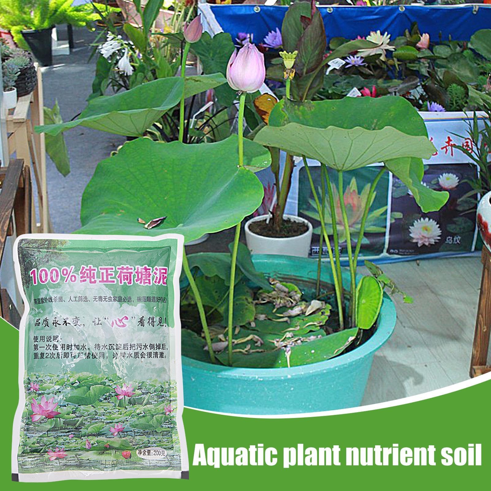 Lodo de estanque de loto, Suelo arcilloso de nutrición para plantas acuáticas, Fertilizante para plantas, Medios de cultivo para cultivo de semillas