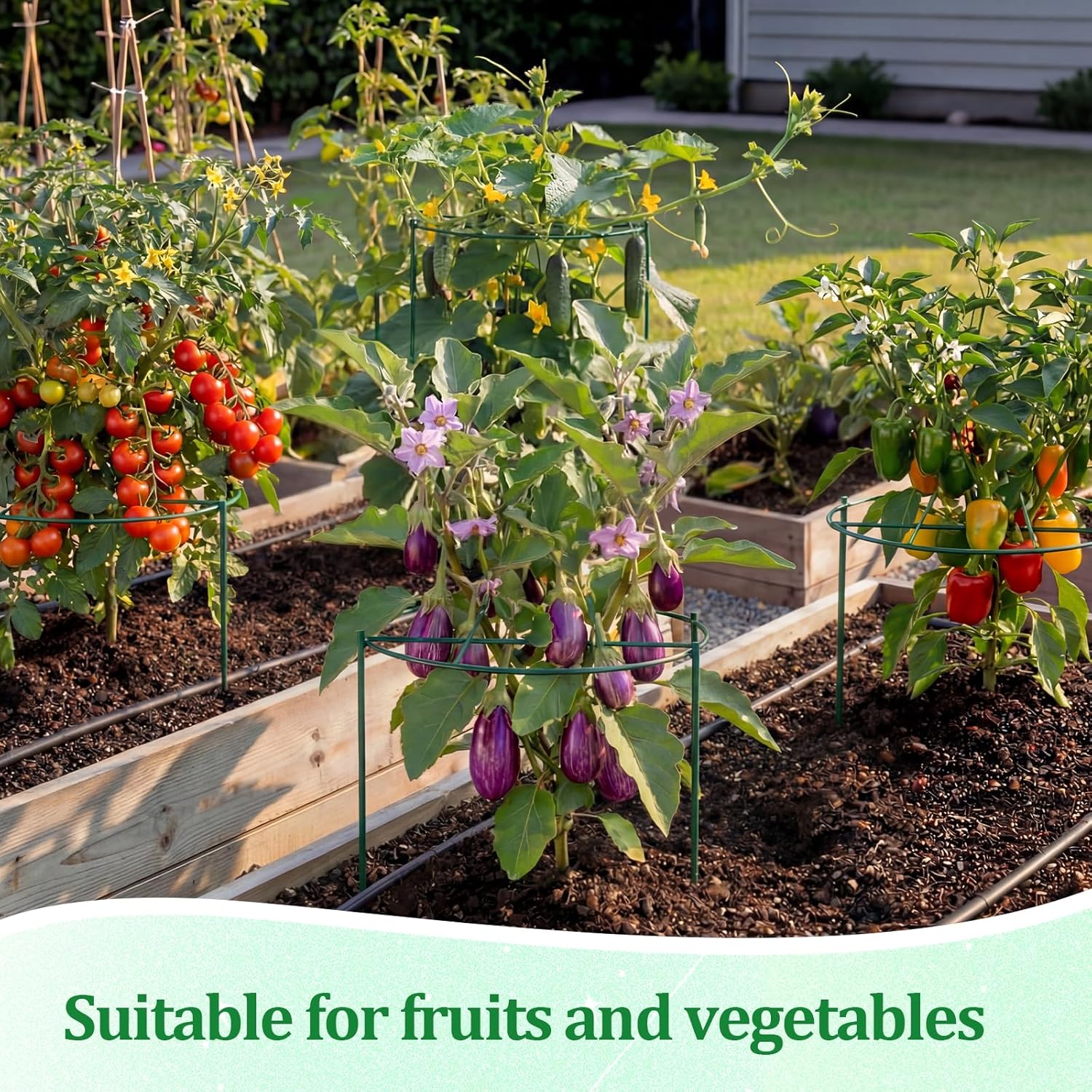 Novabright 2 Pcs 24" H x 20" D Large Peony Cage and Support Grow Through Plant Supports Round Garden Flower Stake Plants Ring Hoop for Outdoor Floral Tomato Vegetable Improve Planting Success Rate