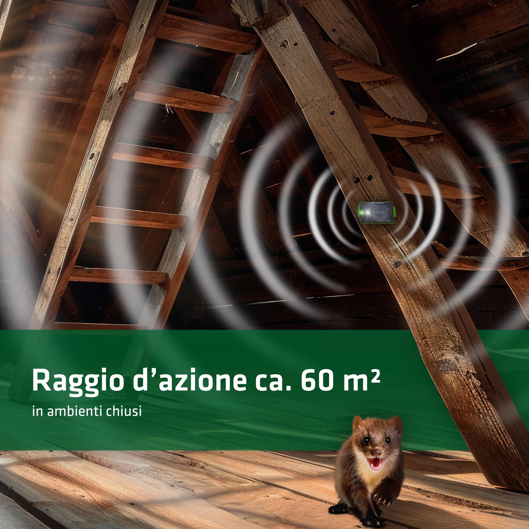 Gardigo® Dispositivo Anti Martore a Batterie | Repellente Antiroditori per Auto, Casa | Facile Sostituzione Batterie | Ultrasuoni per Allontanare Roditori Vano Motore, Soffitta | Repellente Topi Auto