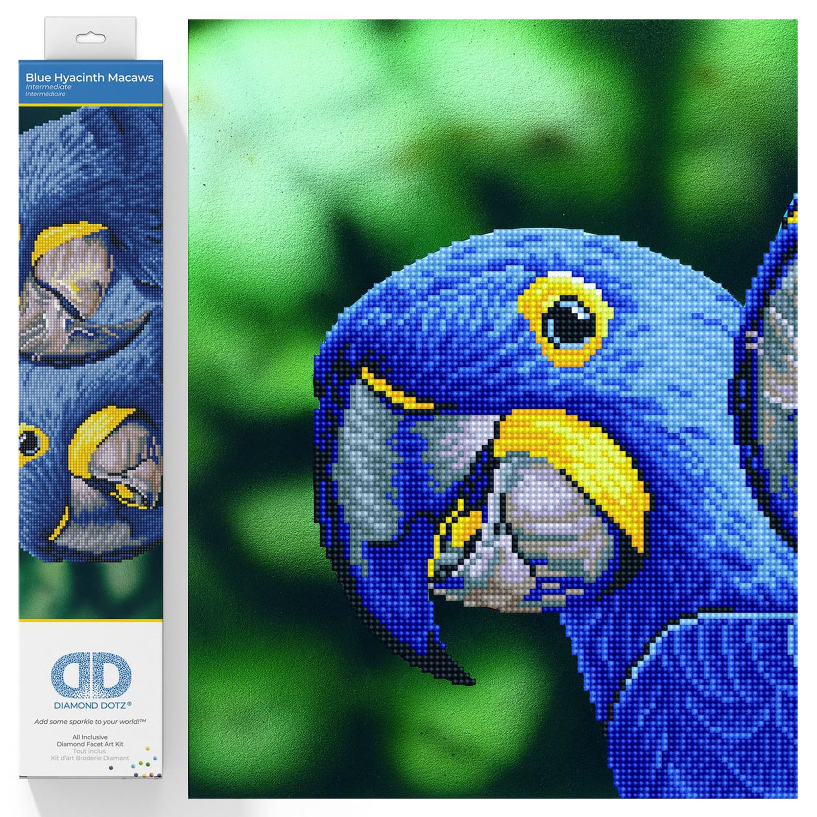 Painting, Beginner Kit, Plastic Polyester, Blue Hyacinth Macaws, 37 x 52cm