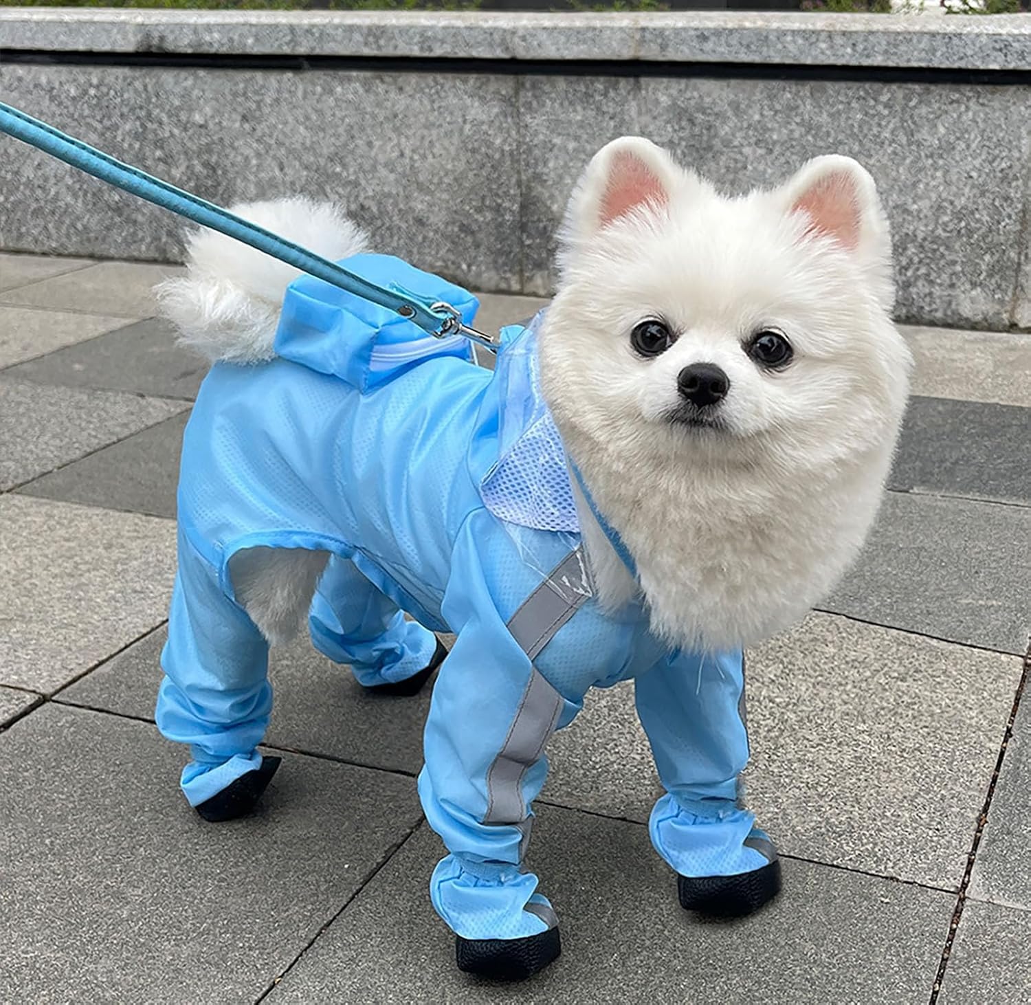 Impermeabile per cani con cappuccio - Tuta impermeabile a copertura completa per quattro zampe con scarpe, asciugatura rapida, per animali domestici, per cani di taglia piccola, media e