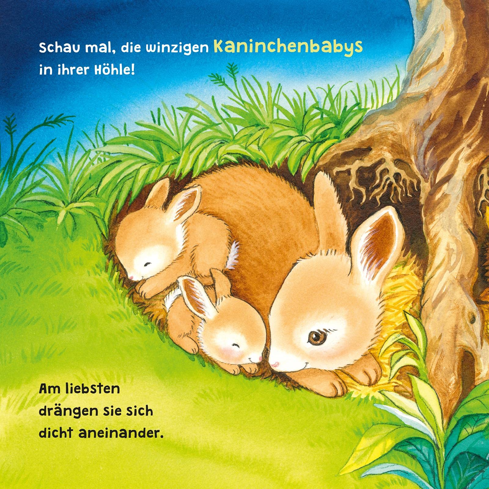Baby Pixi (unkaputtbar) 96: Mein Lieblingsbuch vom Einschlafen mit den Tieren: Ein Baby-Buch mit Klappen und Gucklöchern ab 1 Jahr