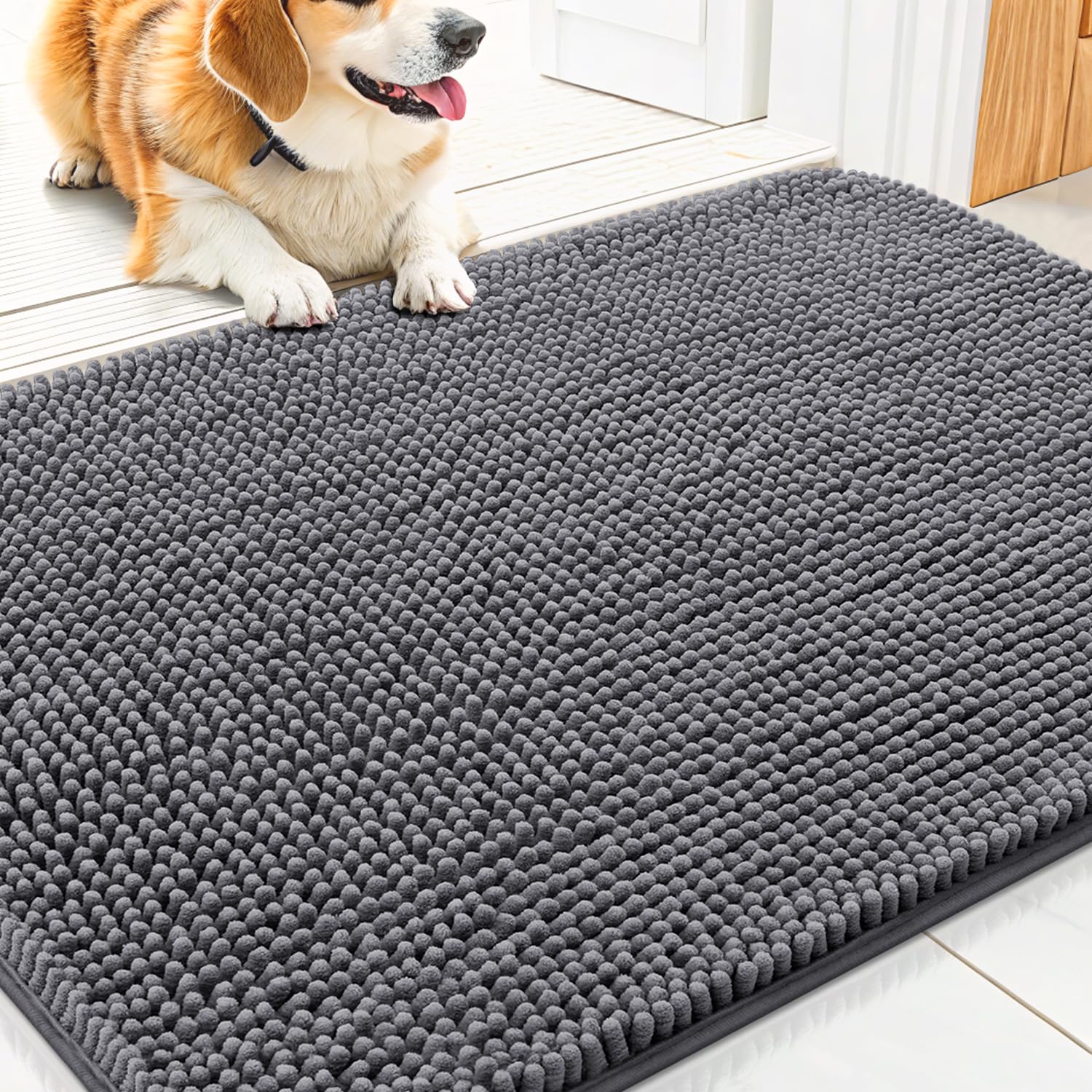 Smiry Dog Door Mat for Muddy Paws 30x20, Absorbs Moisture and Dirt Doormat, Non-Slip Washable Quick Dry Chenille Front Door Mat Indoor Entrance,