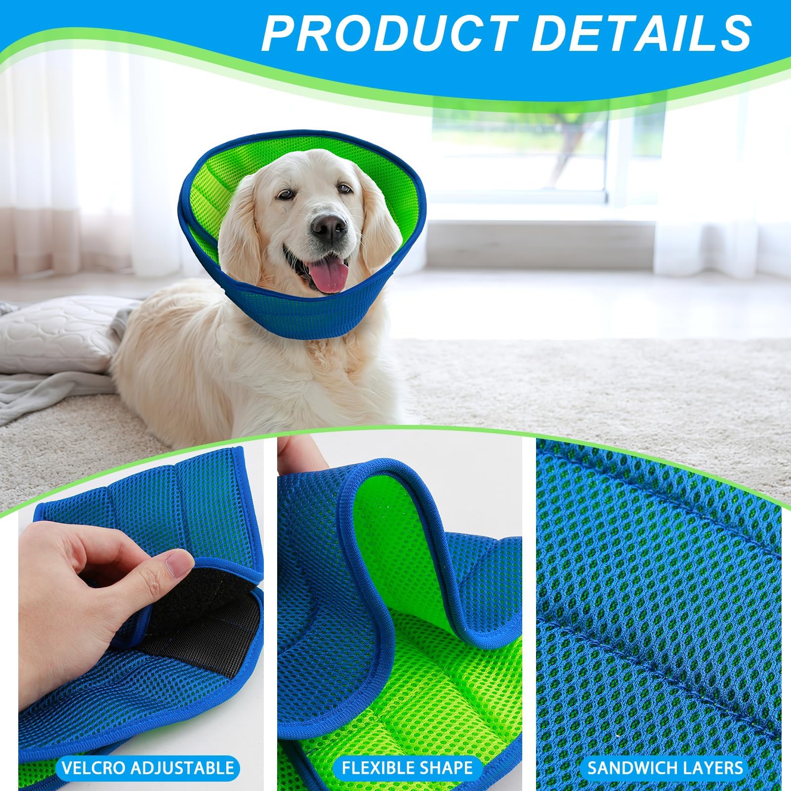 Dog Cone Collar - Image 4