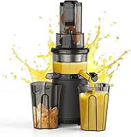 Vista 8 de Exprimidor Lento de Masticación y Prensado en Frío: Máquinas de Exprimidor Prensado en Frío para Verduras y Frutas 200W, Gris Mate