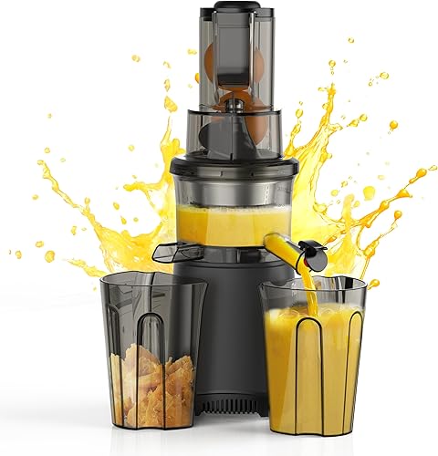 Máquinas lentas del exprimidor de la prensa en frío Exprimidor compacto prensado en frío para verduras y frutas fácil limpiar, gris plateado