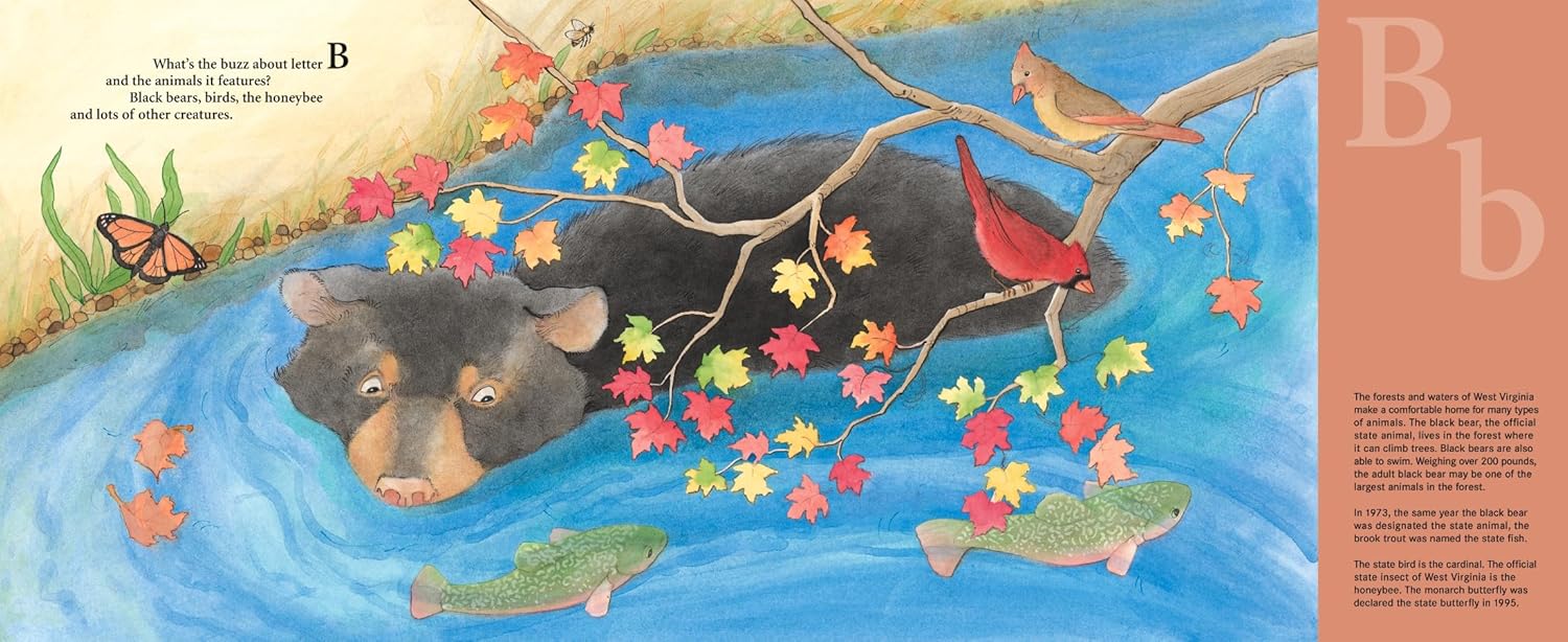 M is for Mountain State: A West Virginia Alphabet (Discover America State by State) - Image 2