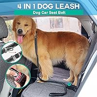 Vista 5 de Correa para perros grandes y medianos resistente, correas elásticas para perros con soporte para bolsa de excrementos y cinturón de seguridad